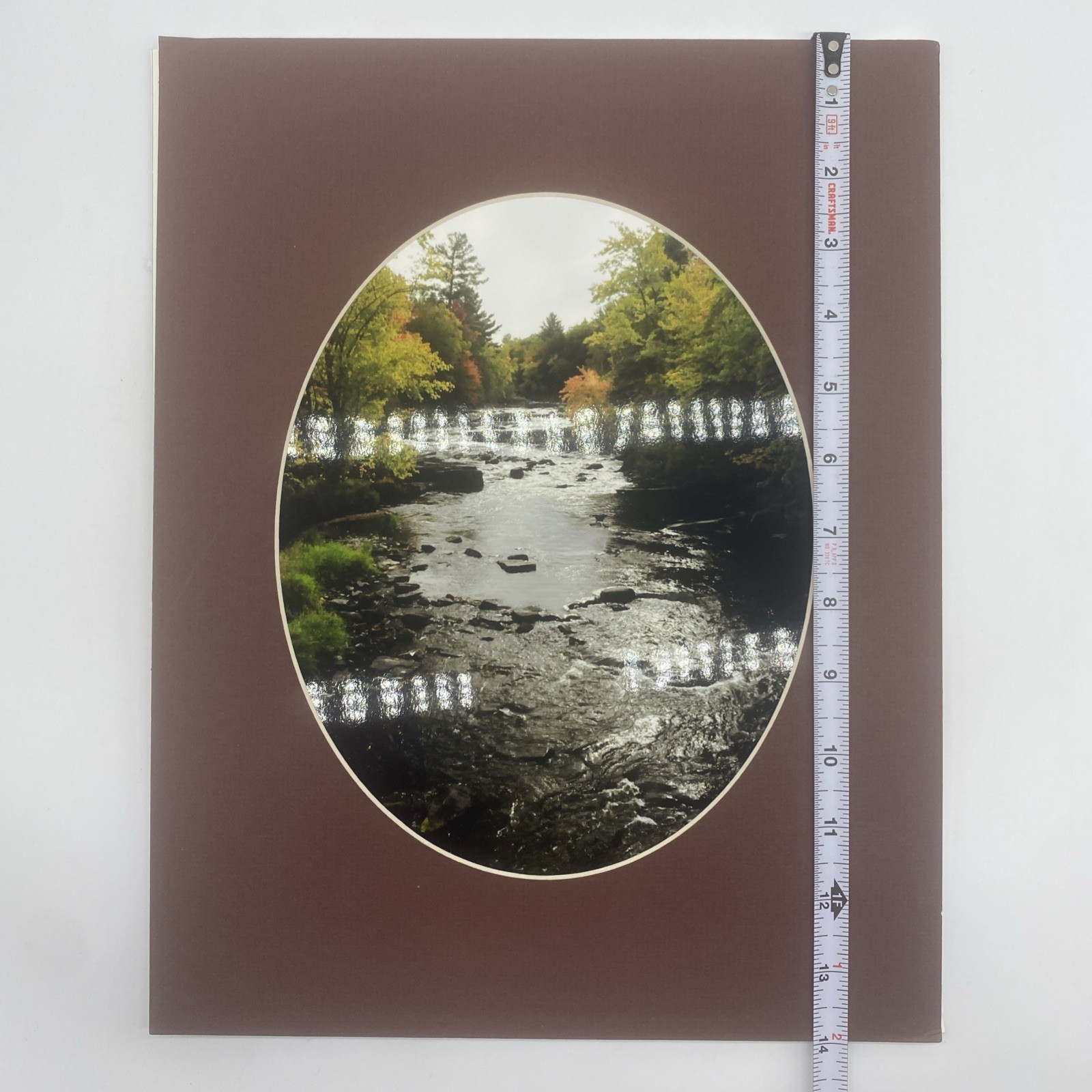 Matted River Forest Landscape Photo Print 11 X 14 Wall Art Gallery Decor