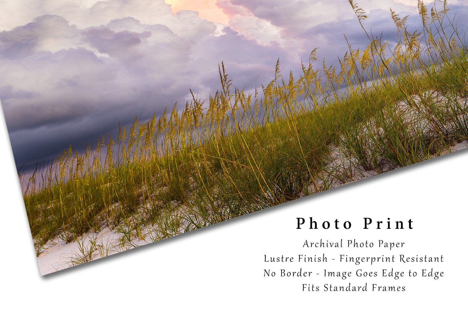 Gulf Coast Photography Print | Coastal Beach Picture | Alabama Wall Art