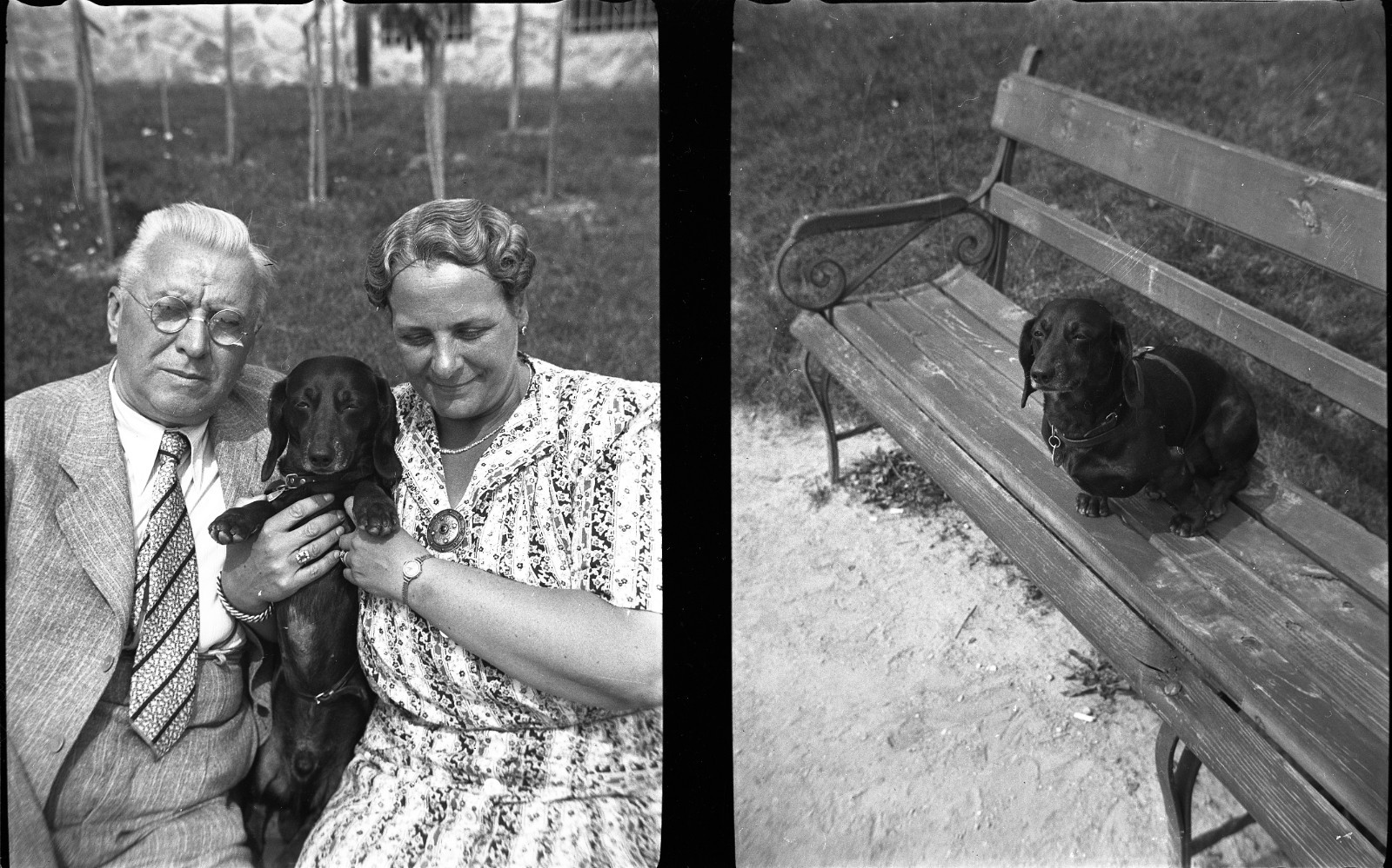 LOT 2x vintage fine art negative, couple w sweet dog, dachshund, funny, unusual