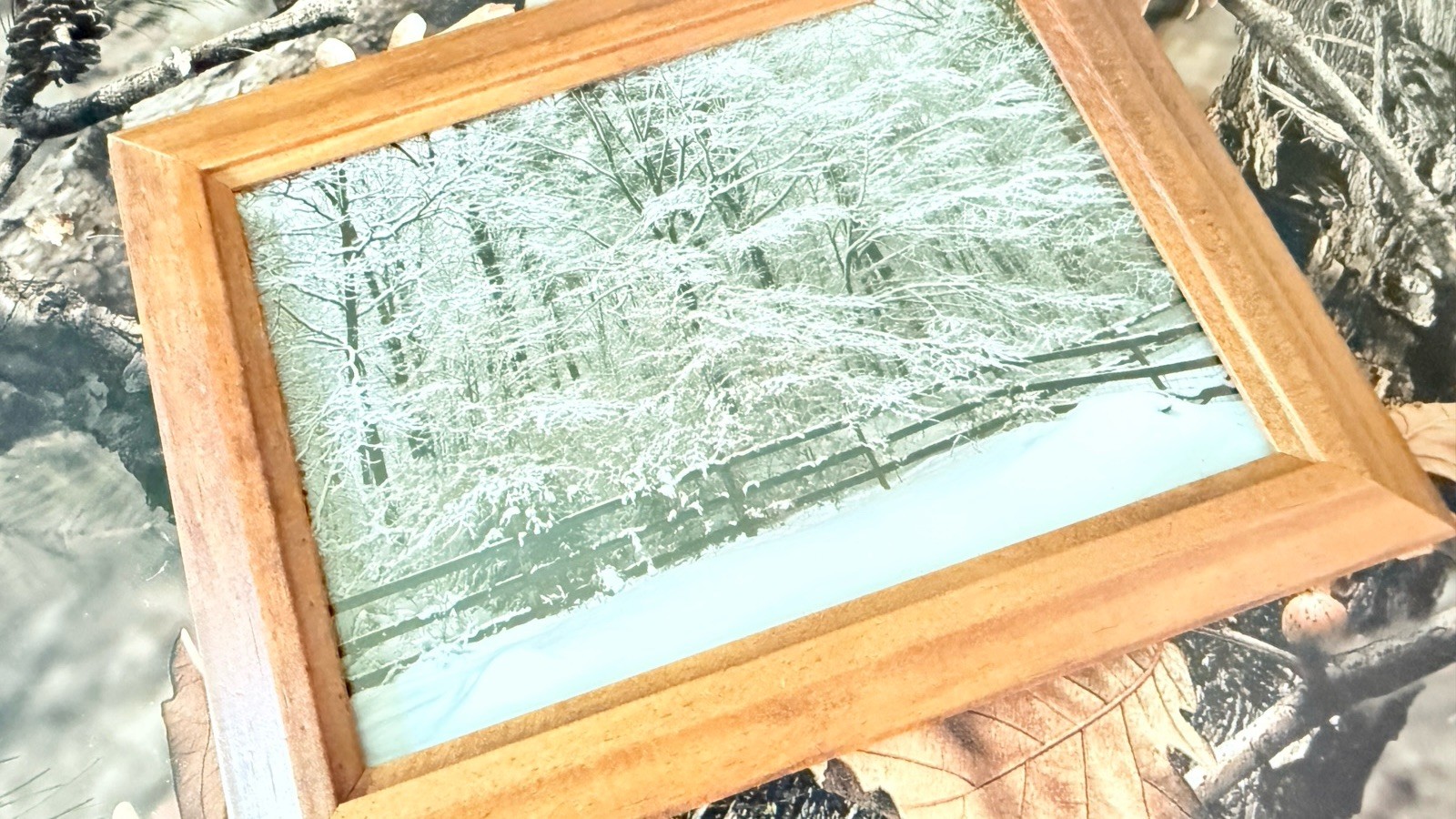 Original photograph, ‘Spiderweb of Snow’ by Serene Scenes in Maine, 5×7