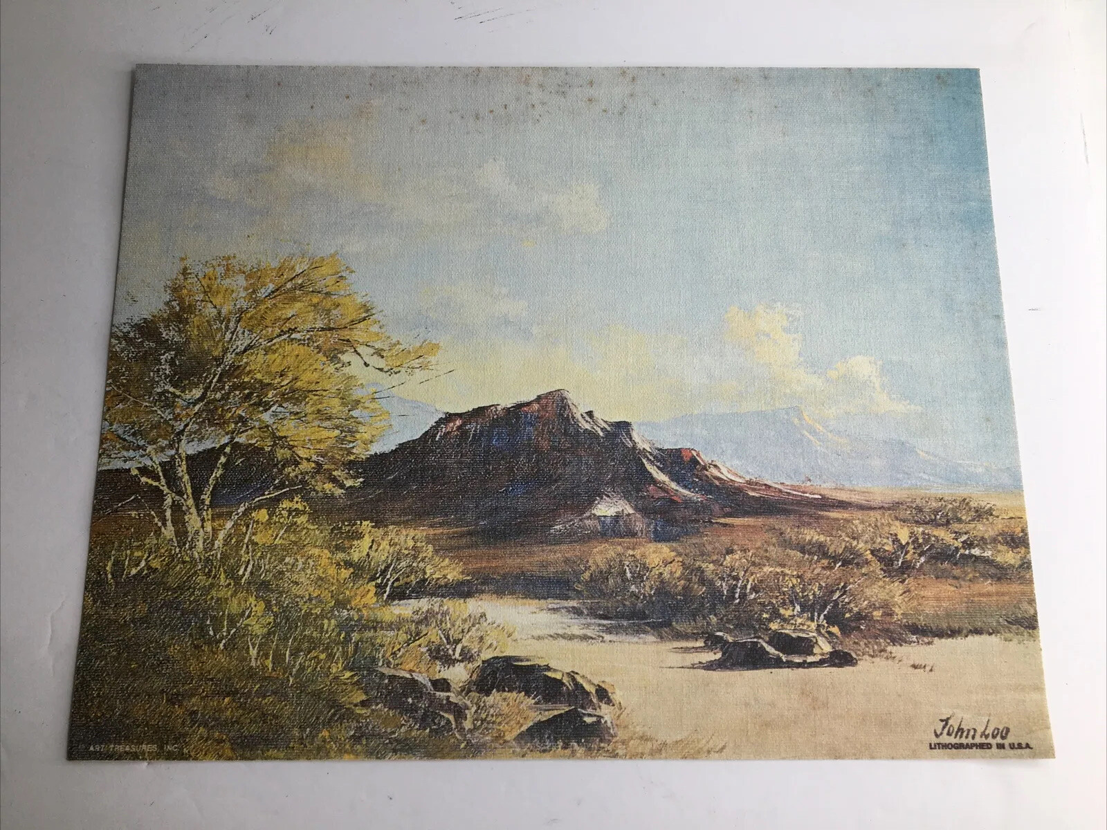 Vintage MCM Art Treasures Inc John Loo Nature Lithograph on Canvas Unframed G3