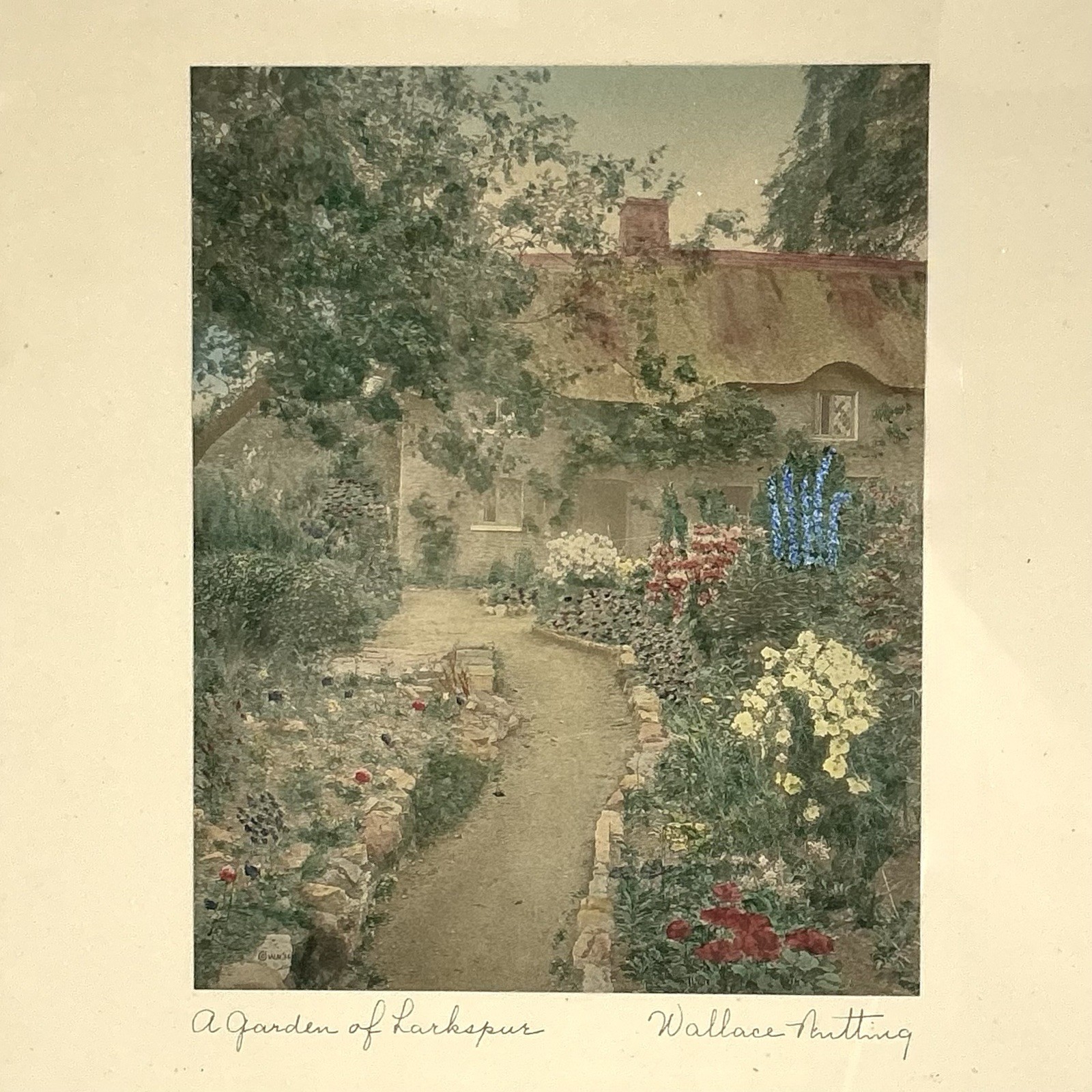 Wallace Nutting A Garden Of Larkspur Hand Tinted Colored Photo Signed Framed