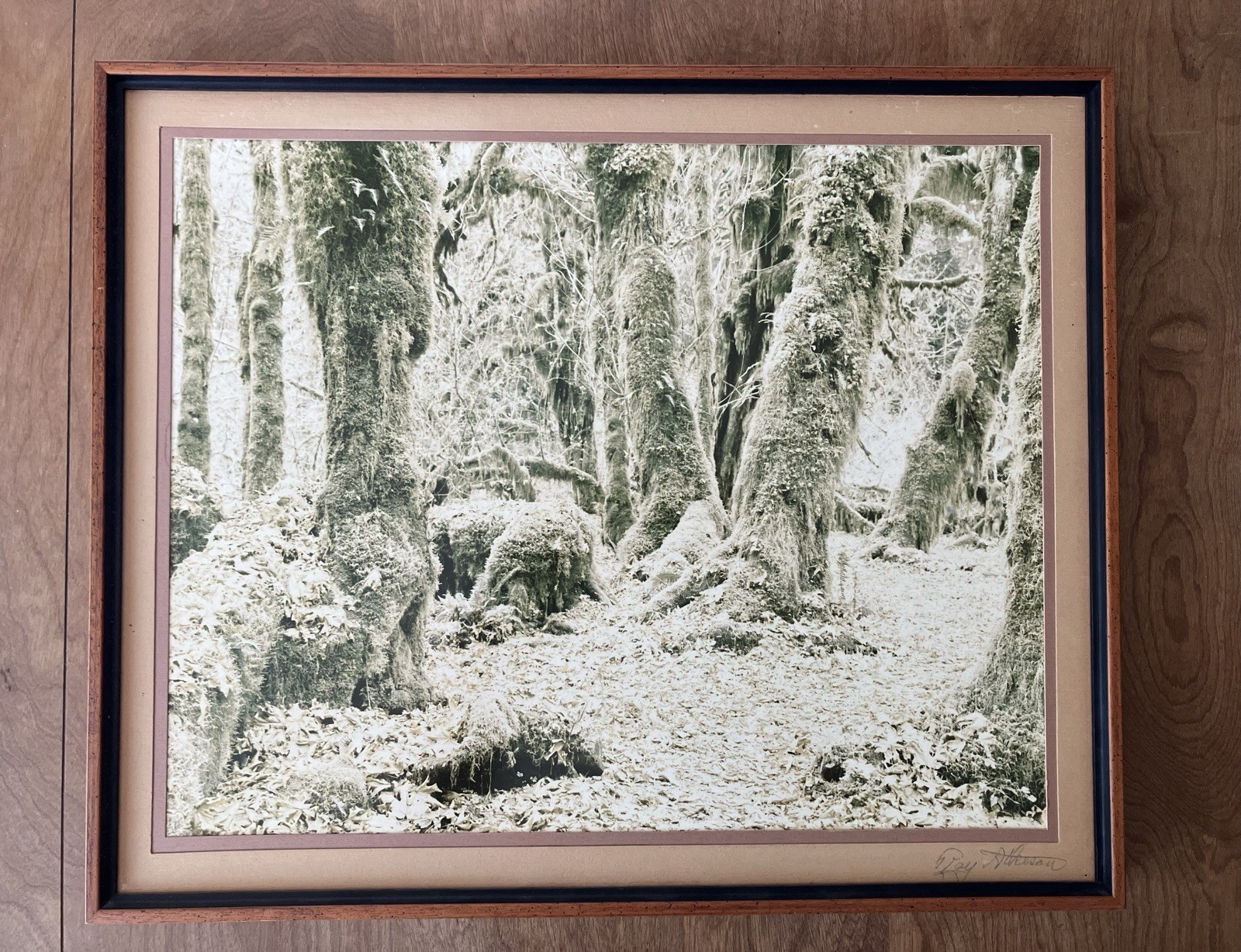 Ray Atkeson Original Photo Large Frames Signed Old Forest Landscape Oregon