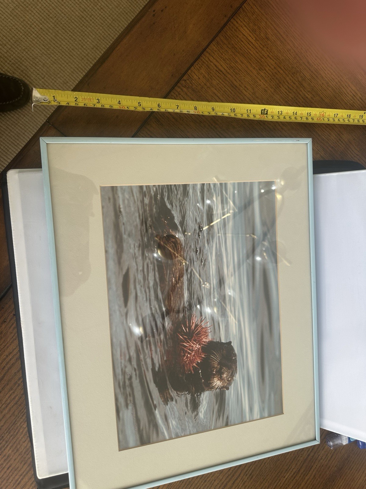 Limited Edition Signed Fine-Art Nature Photograph By Thomas Mangelsen