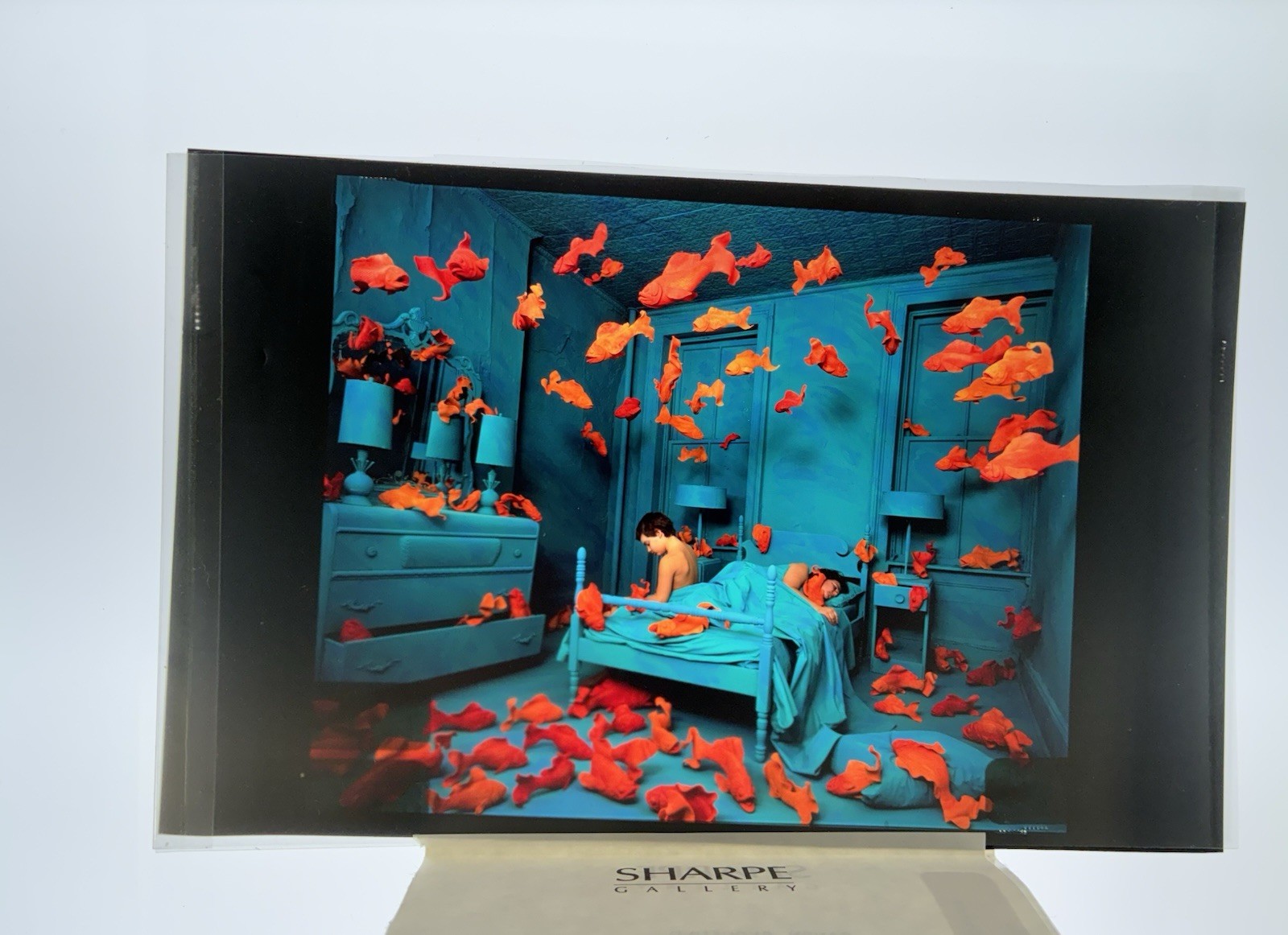 Sandy Skoglund Transparency Archive Lot Revenge Goldfish Radioactive Cats