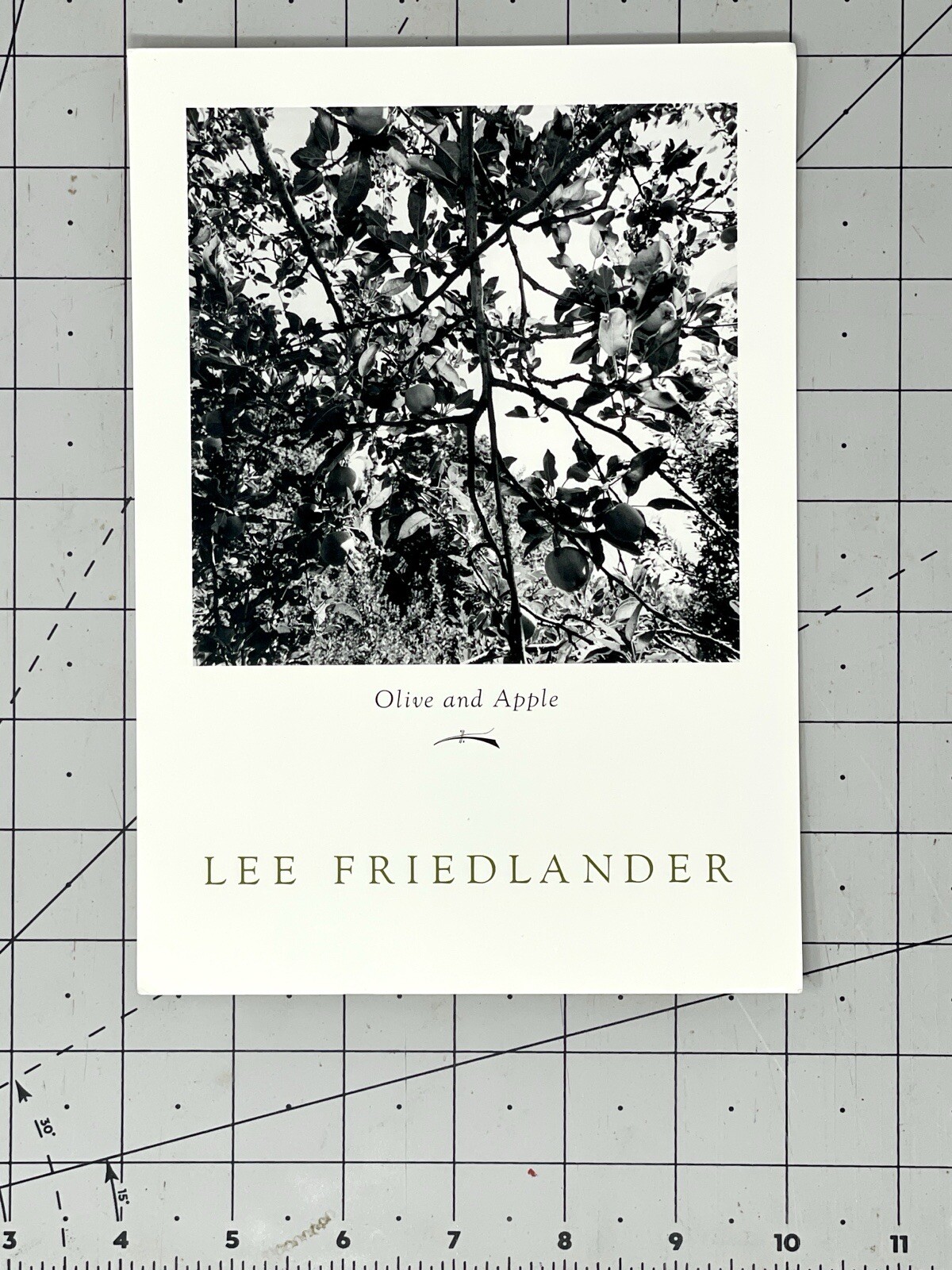 Lee Friedlander (b. 1934) Art Announcement Card 2004 – Olive & Apple