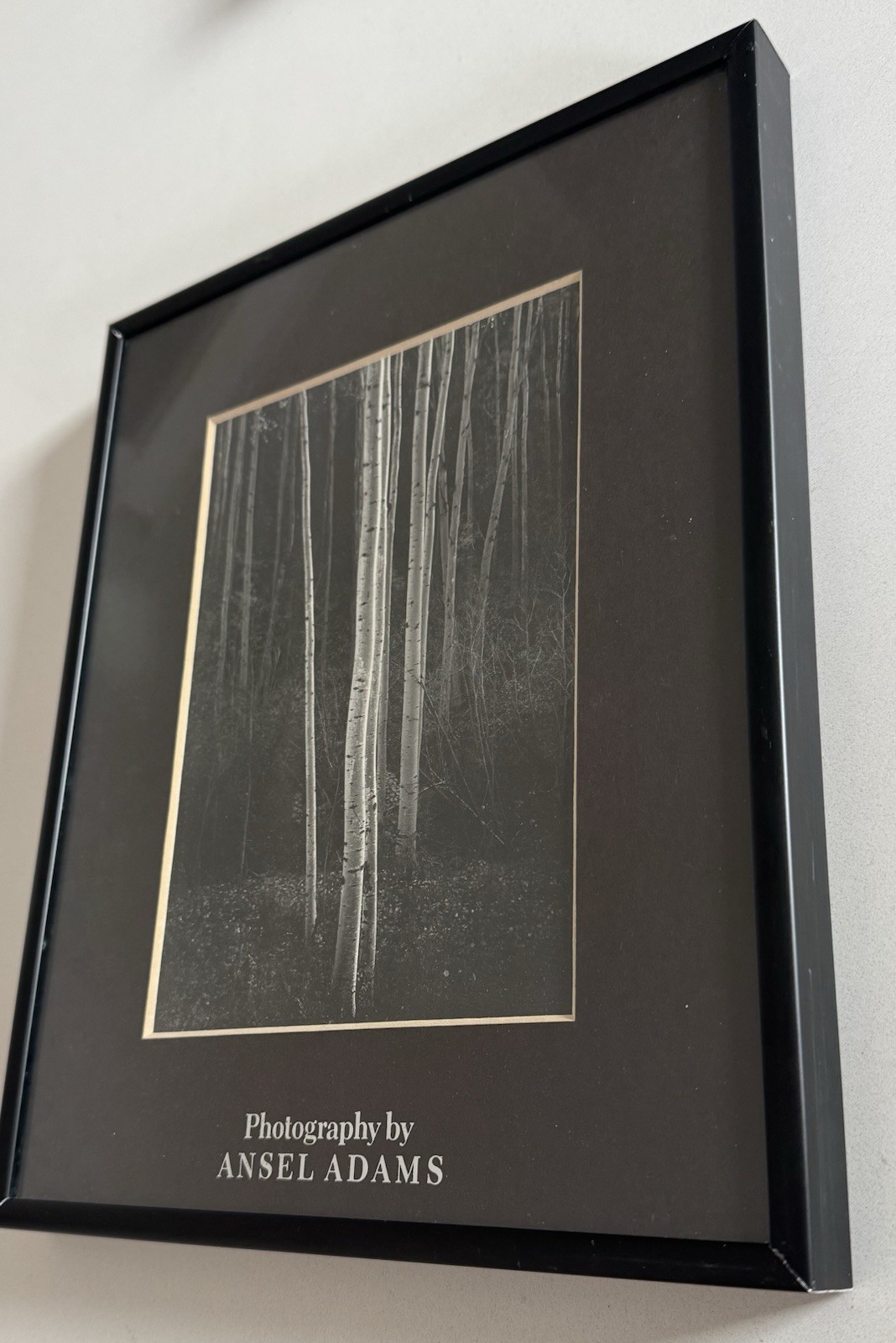 Vintage Ansel Adams Set of 2 Framed Matted Black & White Lot Photo Prints Art
