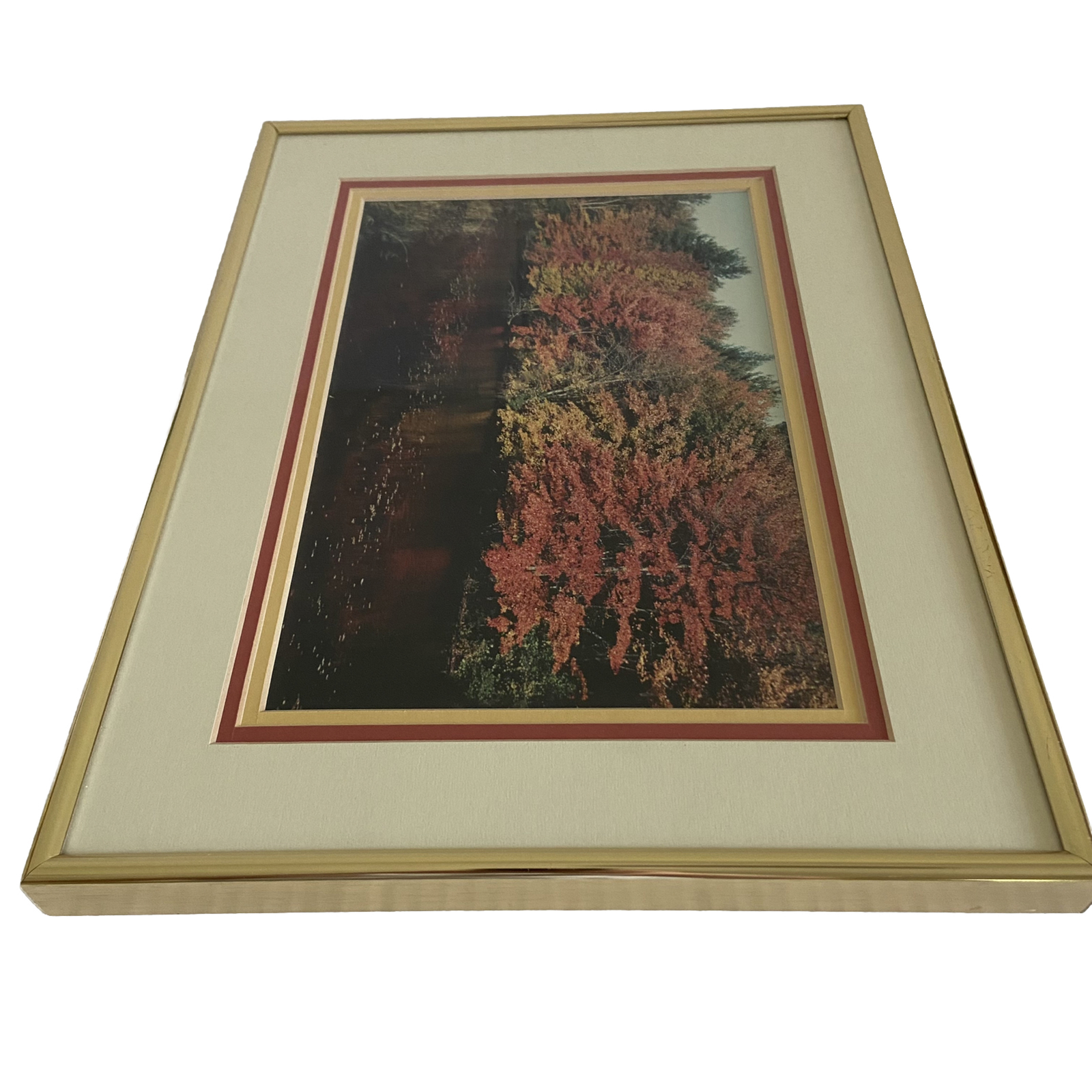 Art Photography Photo Autumn Picture Lake Matted Framed Fall Leaves