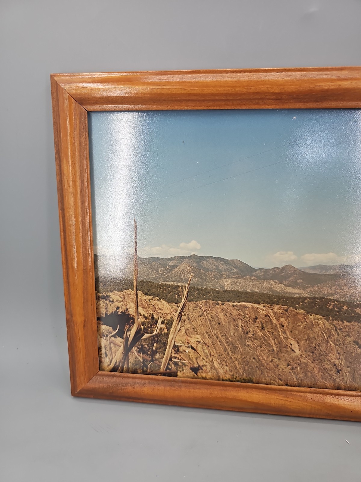 Vintage Photography Of Desert Perhaps New Mexico or Similar Framed With Glass