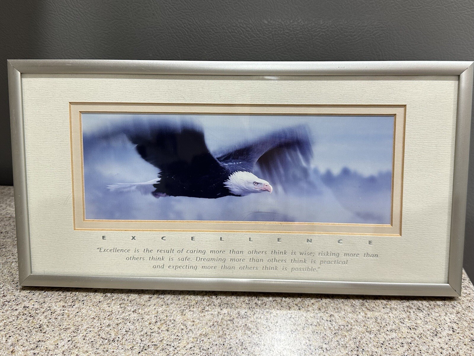 Excellence “King Of The Skies” Eagle Portrait, Photography By Frank Oberle EUC