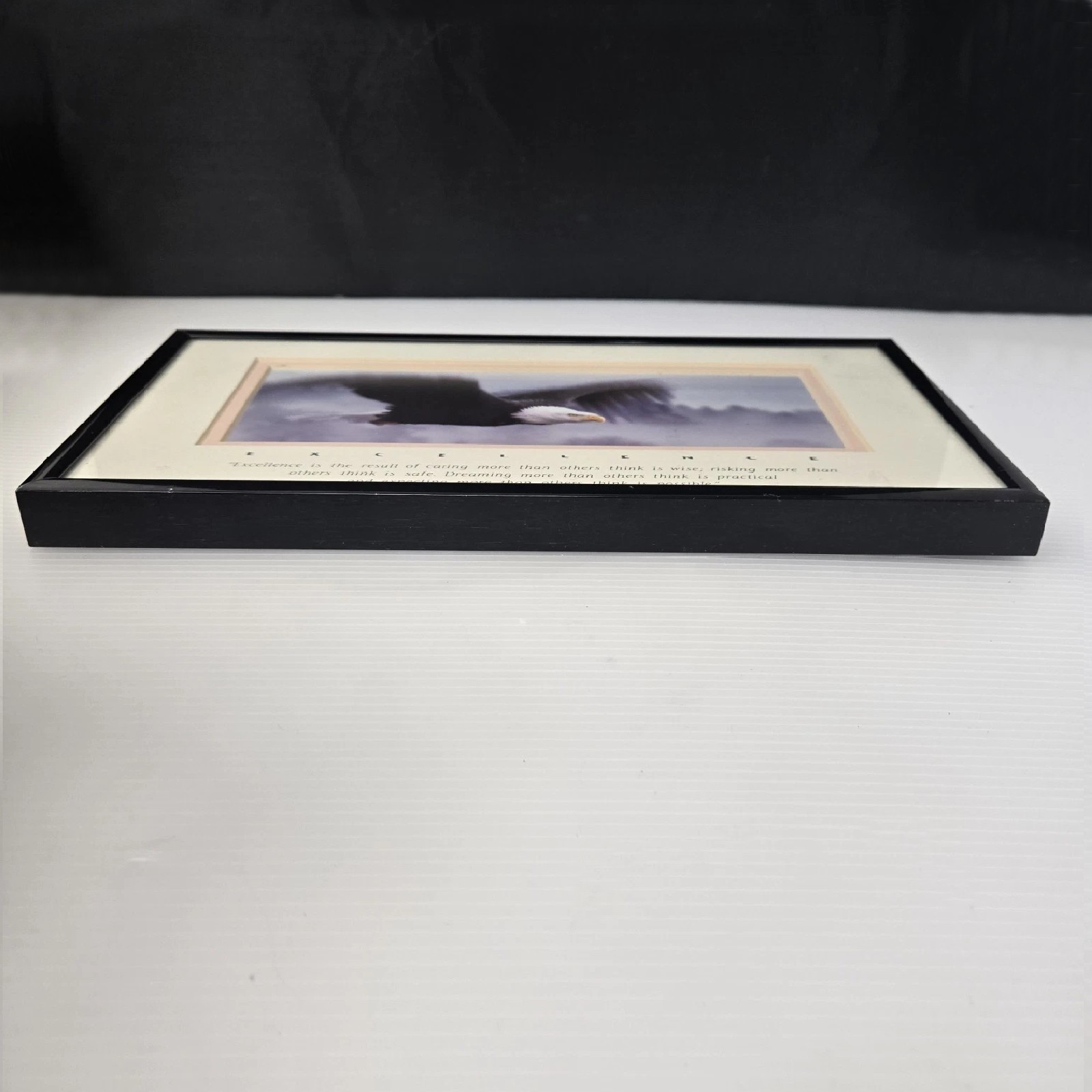 Excellence King Of The Skies Eagle Photo Art Framed Frank Oberle Photography