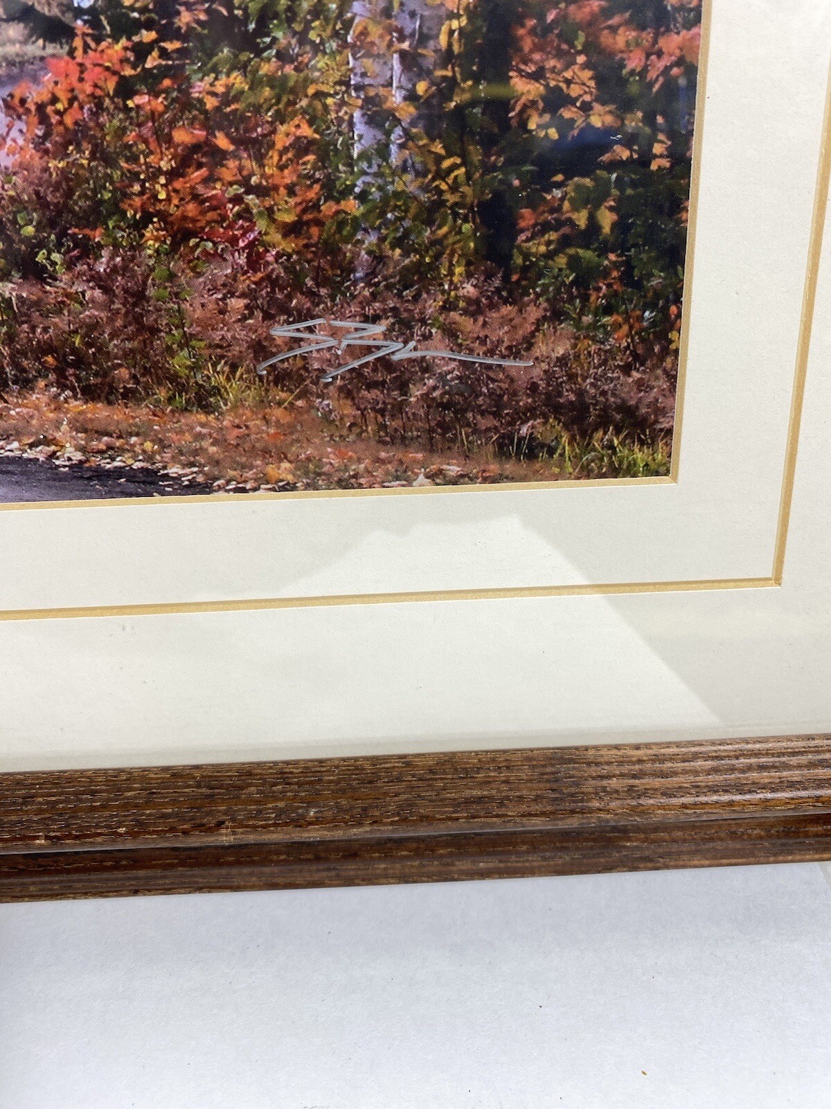 Steve Primm Autumn Drive Landscape Art Panoramic Photo Print Signed