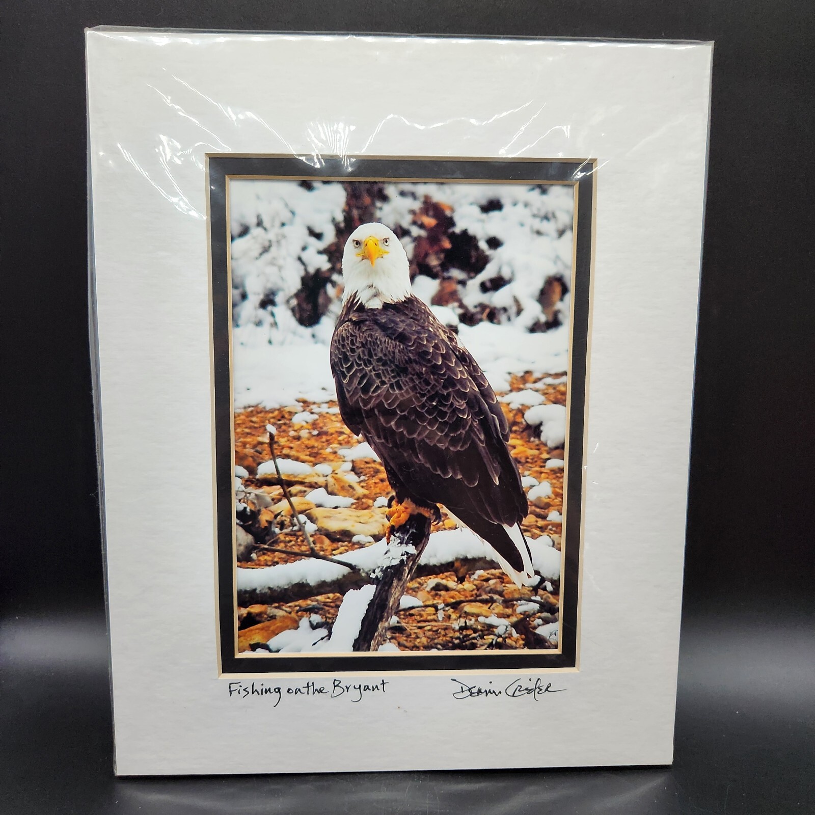 Bald Eagle Print Photo With Double Matte Signed Dennis Crider