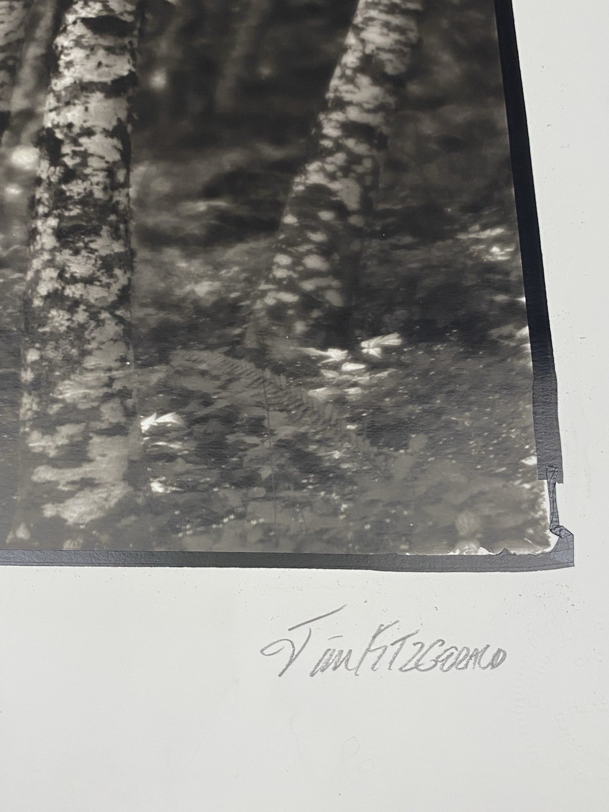 Jim Fitzgerald The Group of Three Signed Photograph Carbon Transfer