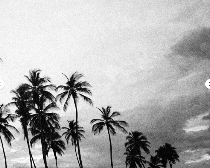 Tropicoco Palmas, Cuba, dyptych 16 x 20in Left/Right art photos, Mel Gonz, 2017