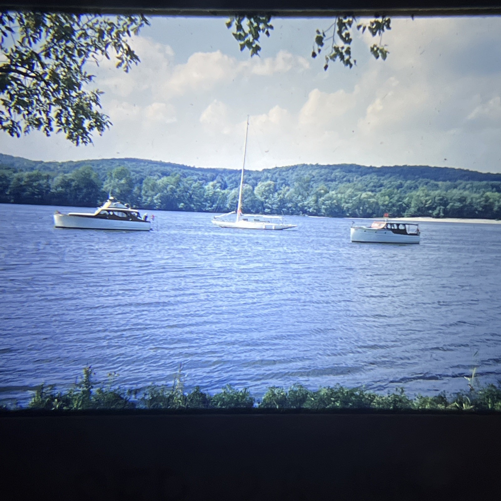 BOATS BOATING LAKE SAILING SAIL 1953 NATURE LANDSCAPE PHOTOGRAPHY WATER TREES