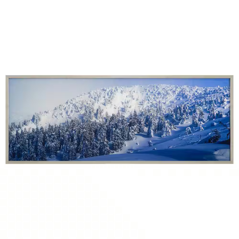 “Alpine Landscape” Silver Frame Photography Wall Art 23.6 In. X 63 In.