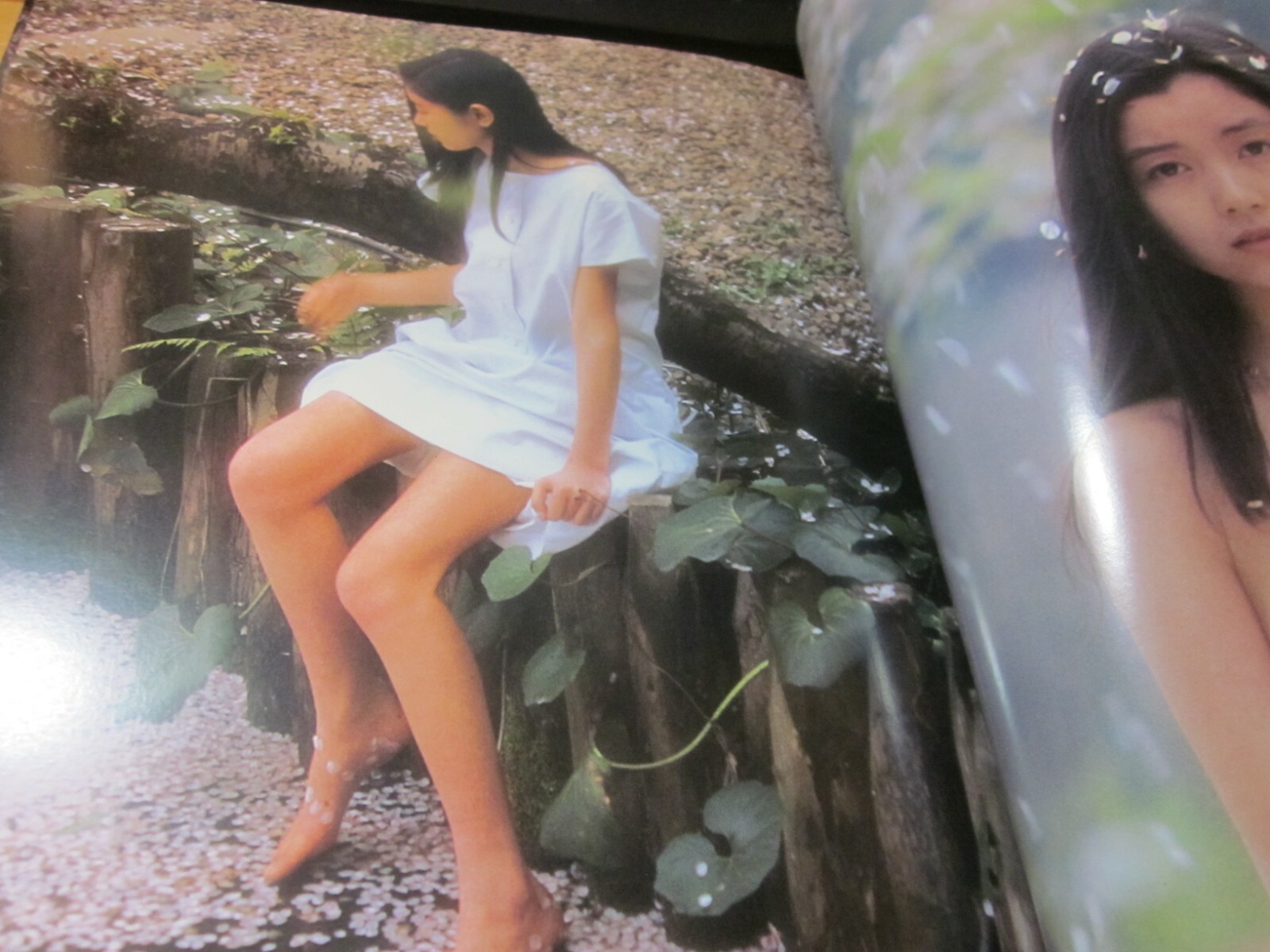 Kishin Shinoyama Photo Book 4 colors fire flowers Satomi Tezuka 1982 1st,edition