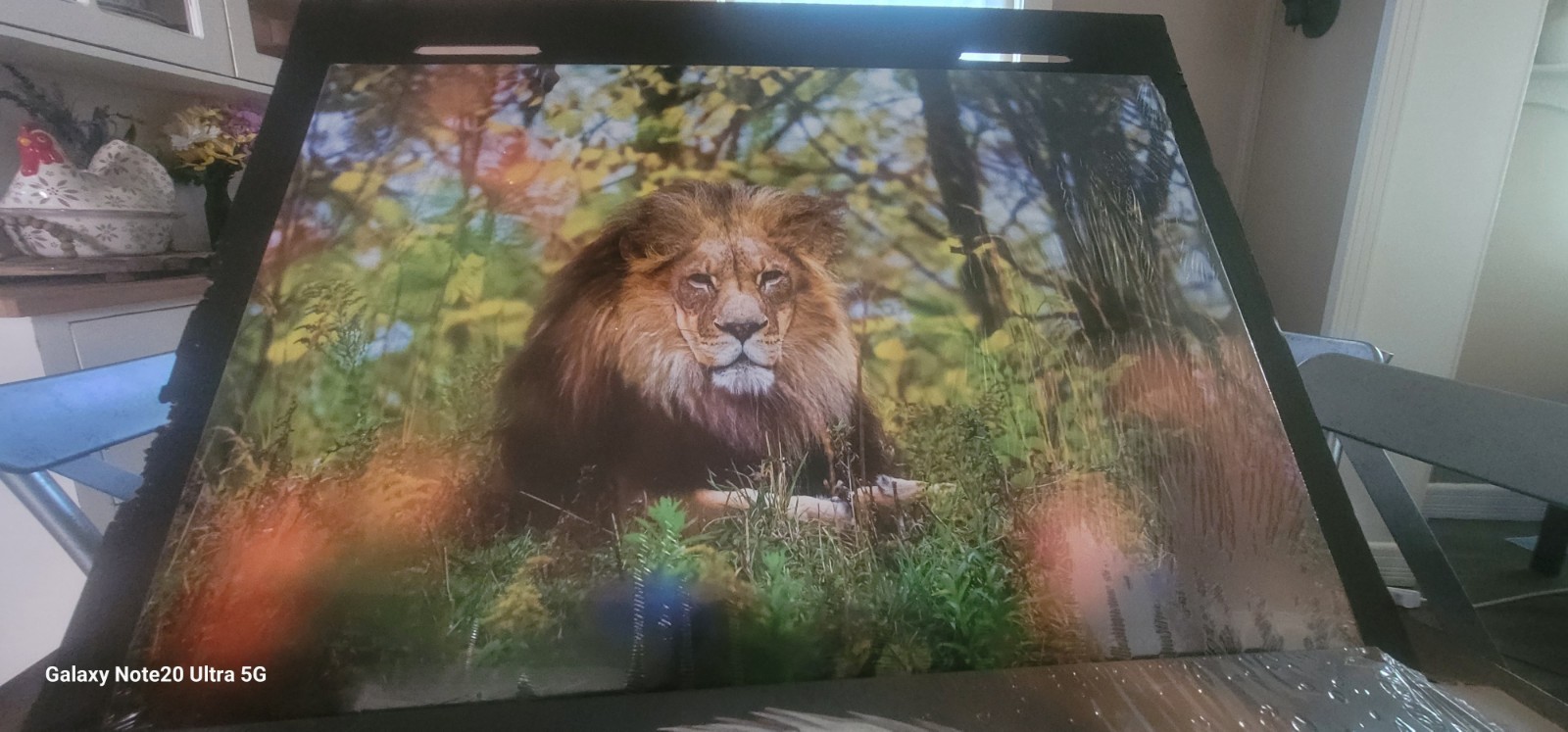 2 Large Gloss Displates For Sale (26.6 x 18.9in). Brand New.