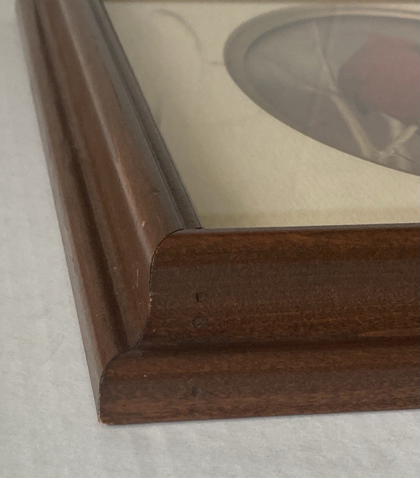 Rick Denomme Bird Photography Set of 4 Framed Cardinal Chickadee Titmouse Signed