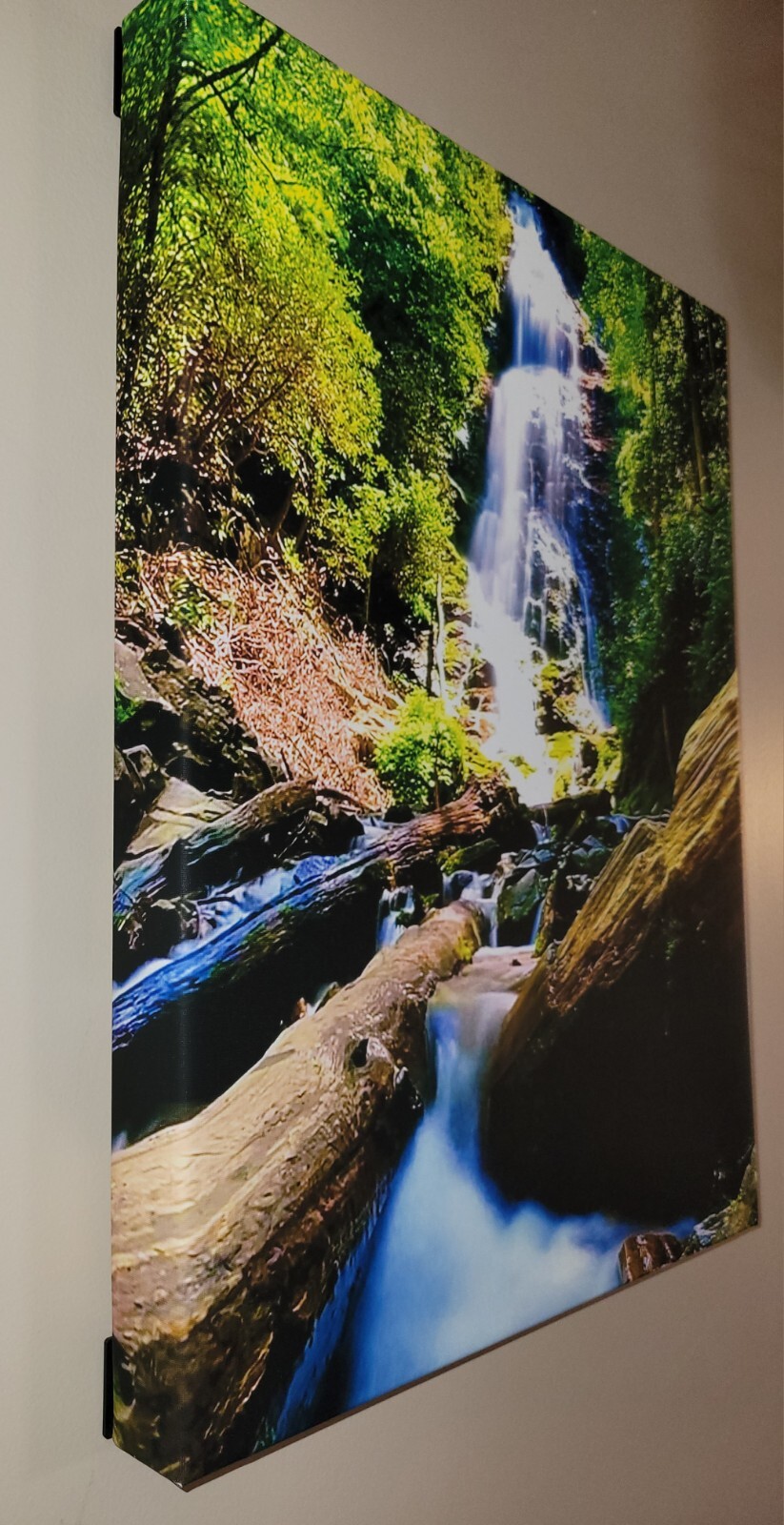 Canvas Photo Mingo Falls Cherokee, NC 16×20 Signed Ltd Edition Gallery Wrapped