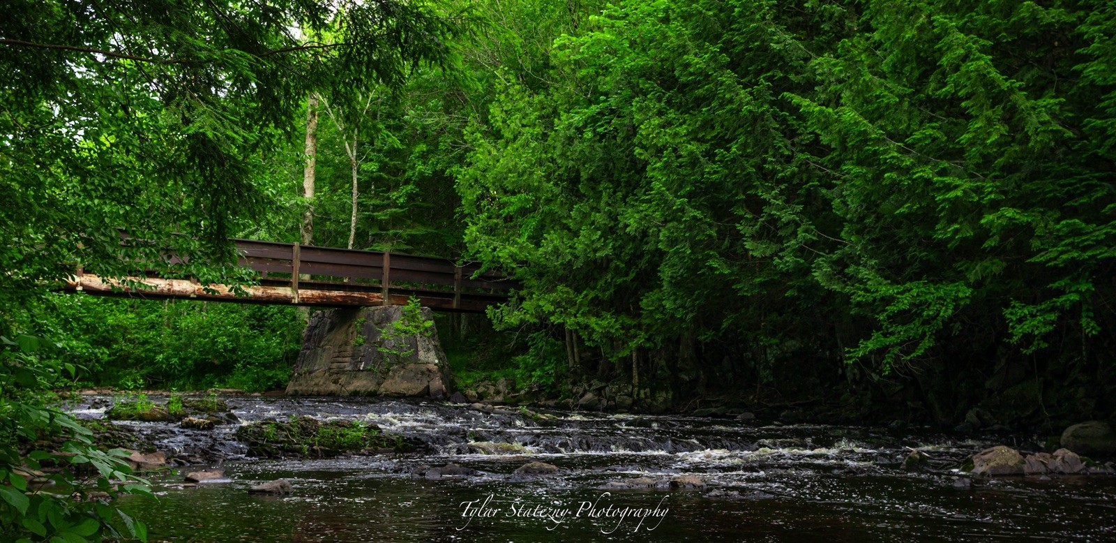 Original Wisconsin Nature Photography Print – Forest Creek & Bridge – Rustic Wal