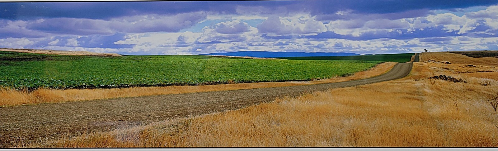 Gary Love Signed Open Edition “Copperhead Raod” Panoramic Photography Framed