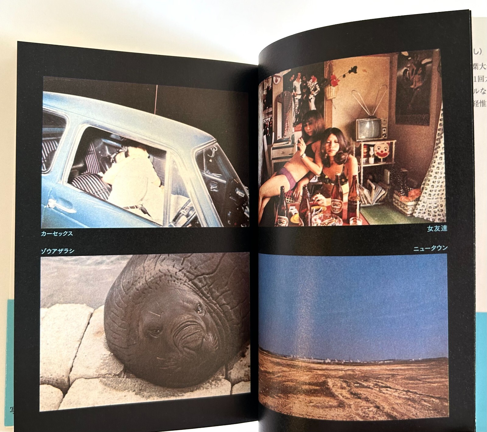 NOBUYOSHI ARAKI JOURNEY TO PHOTOGRAPHY Reissue JAPAN MINI PAPERBACK BOOK ’07 Z22