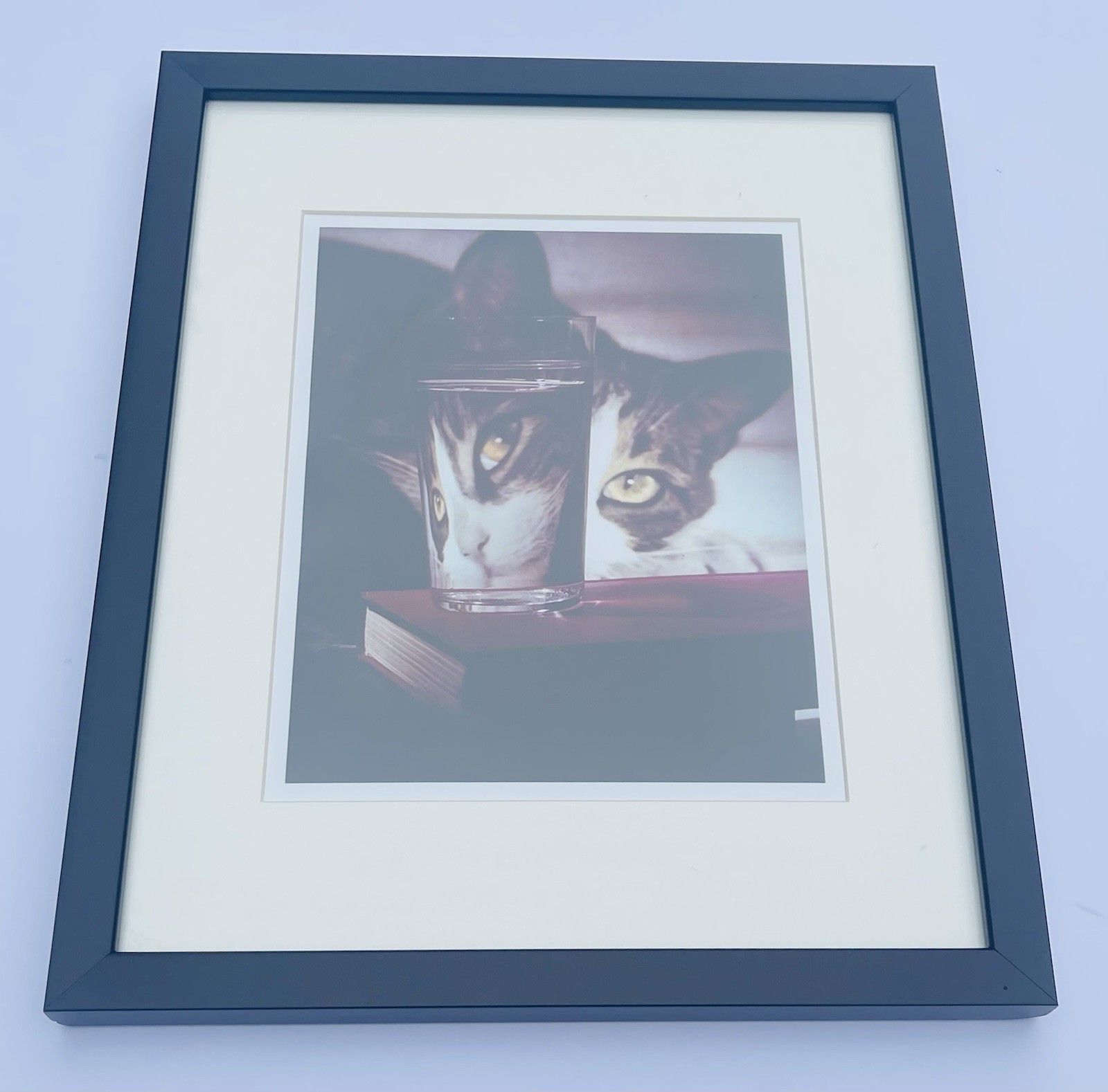 Nina Leen Cat Peering into Glass Framed Print 1963 Life Picture Collection COA