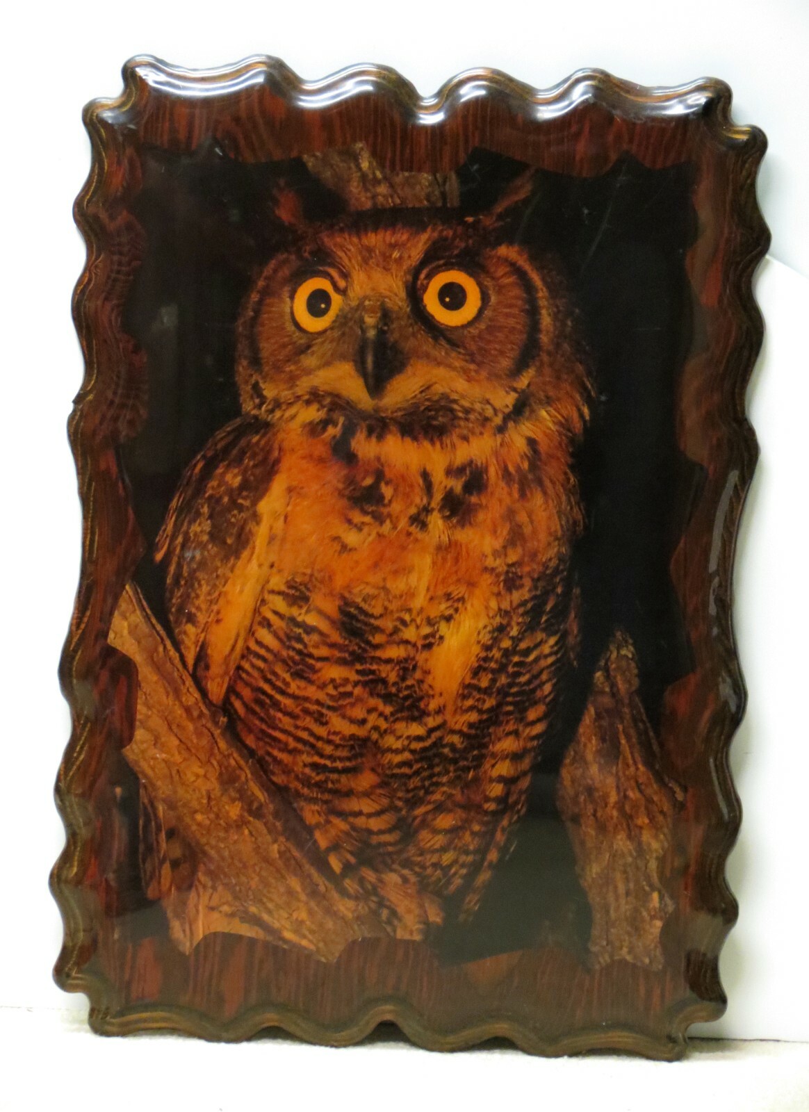 Great Horned Owl Vintage Wall Plaque Photo 15″ x 22″ Wooden High Gloss Finish!