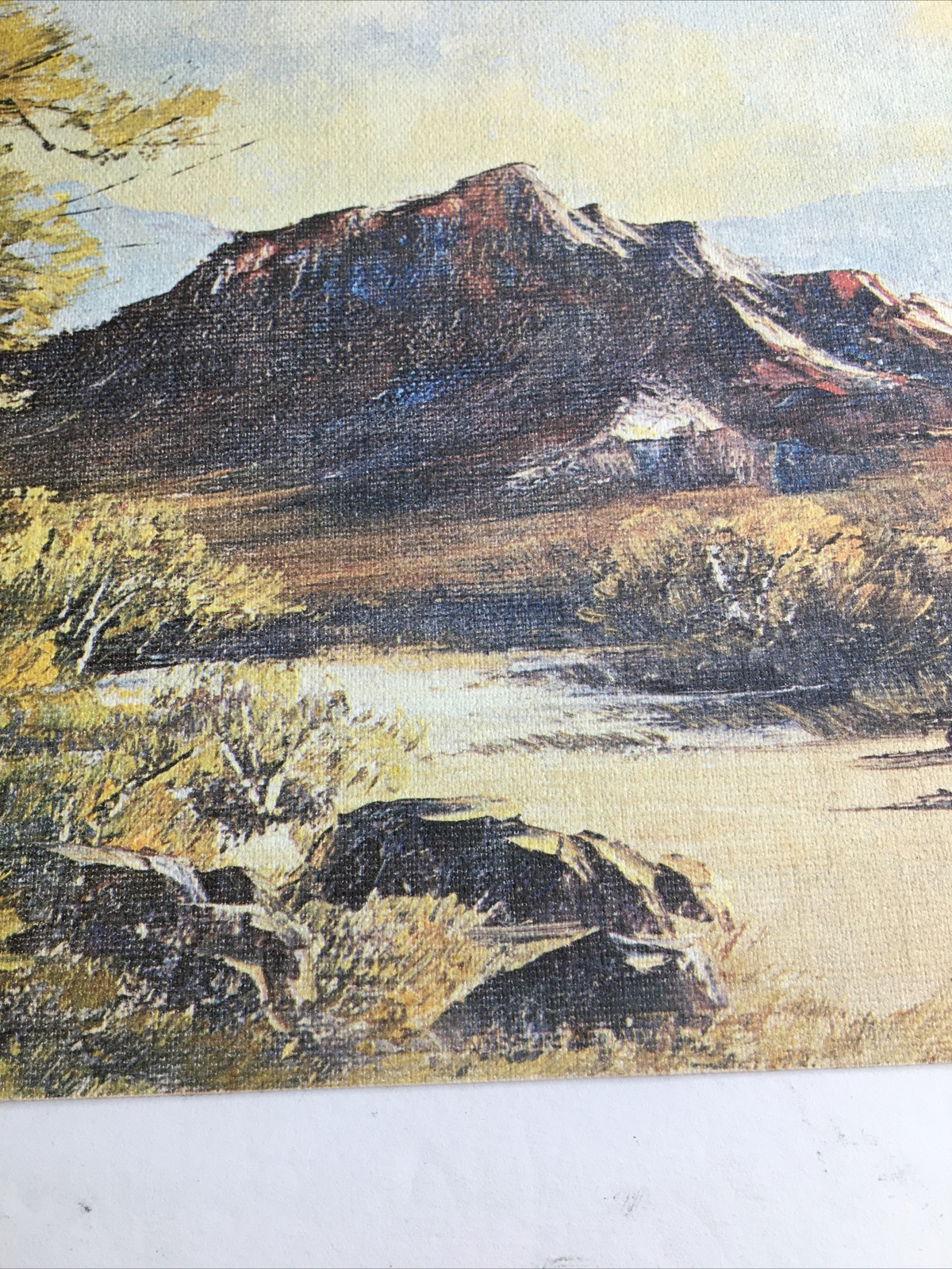 Vintage MCM Art Treasures Inc John Loo Nature Lithograph on Canvas Unframed G3
