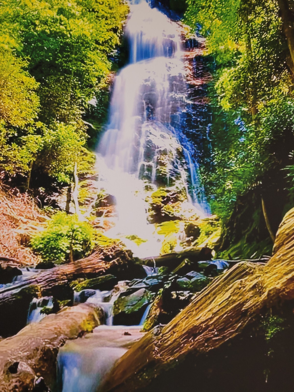 Canvas Photo Mingo Falls Cherokee, NC 16×20 Signed Ltd Edition Gallery Wrapped