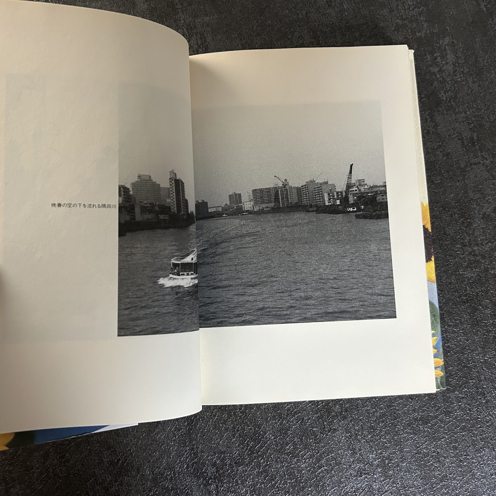 USED NOBUYOSHI & YOKO ARAKI TOKYO BIYORI JAPAN PHOTO BOOK Japanese