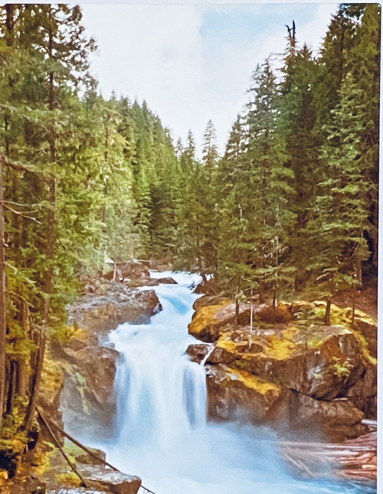 PNW Landscape Waterfall Art Forest River Photographic Metal Print 11×14 Signed