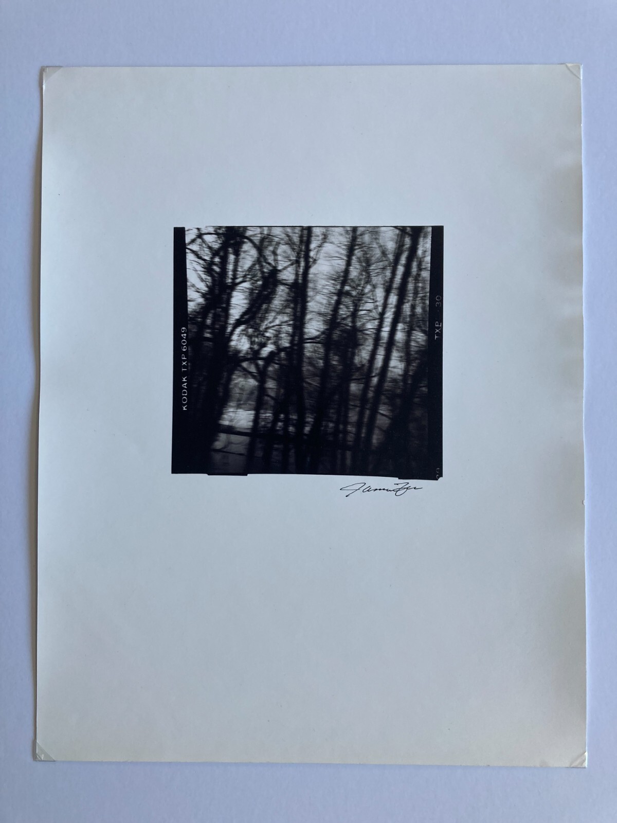 JAMES FEE Signed SEPIA-TONED GELATIN SILVER PRINT Blurred Landscape Los Angeles