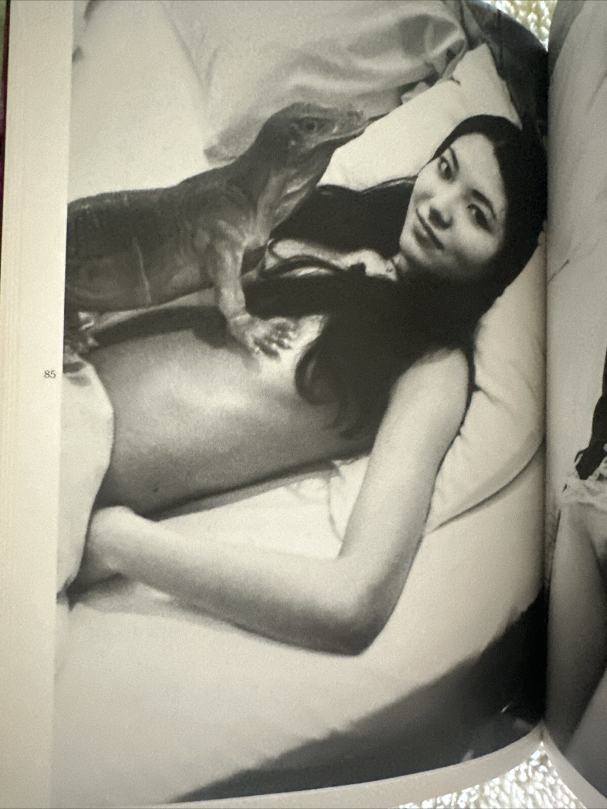 Nobuyoshi ARAKI “ Tokyo Ren Ai “✅BRAND NEW Rare Book