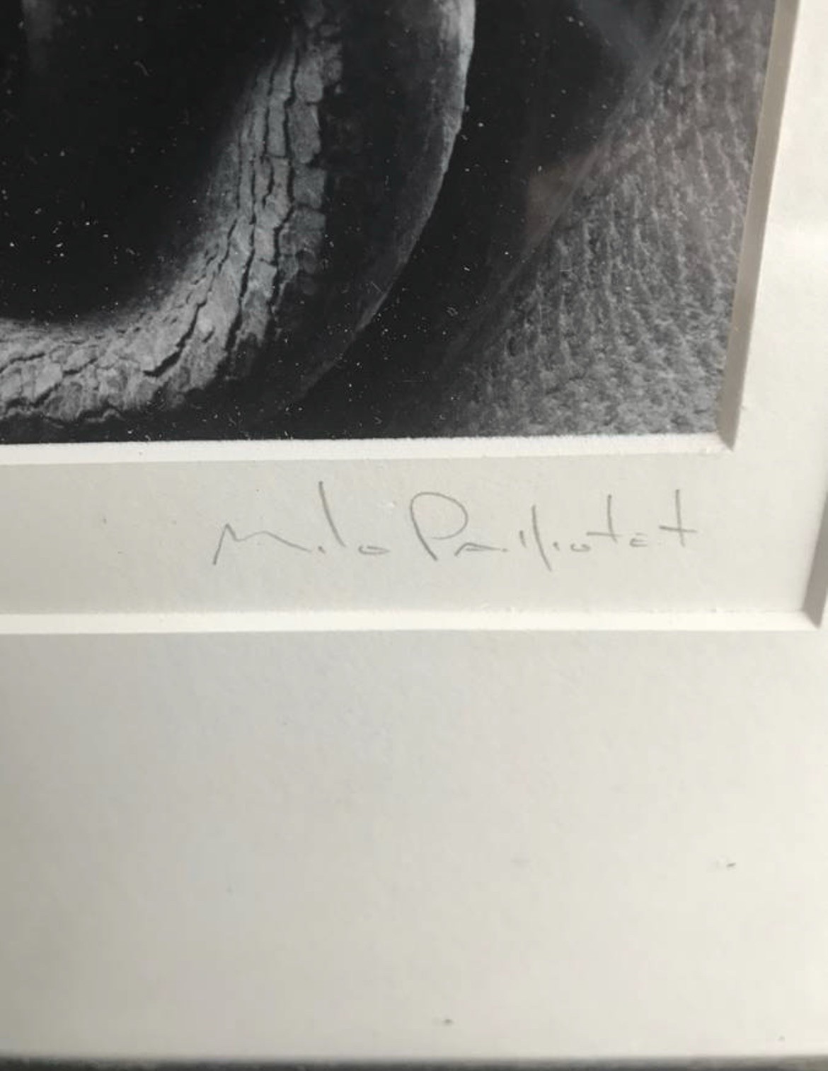 Milo Pailliotet, master photographer, Canada LISTED, pencil signed photo Modern