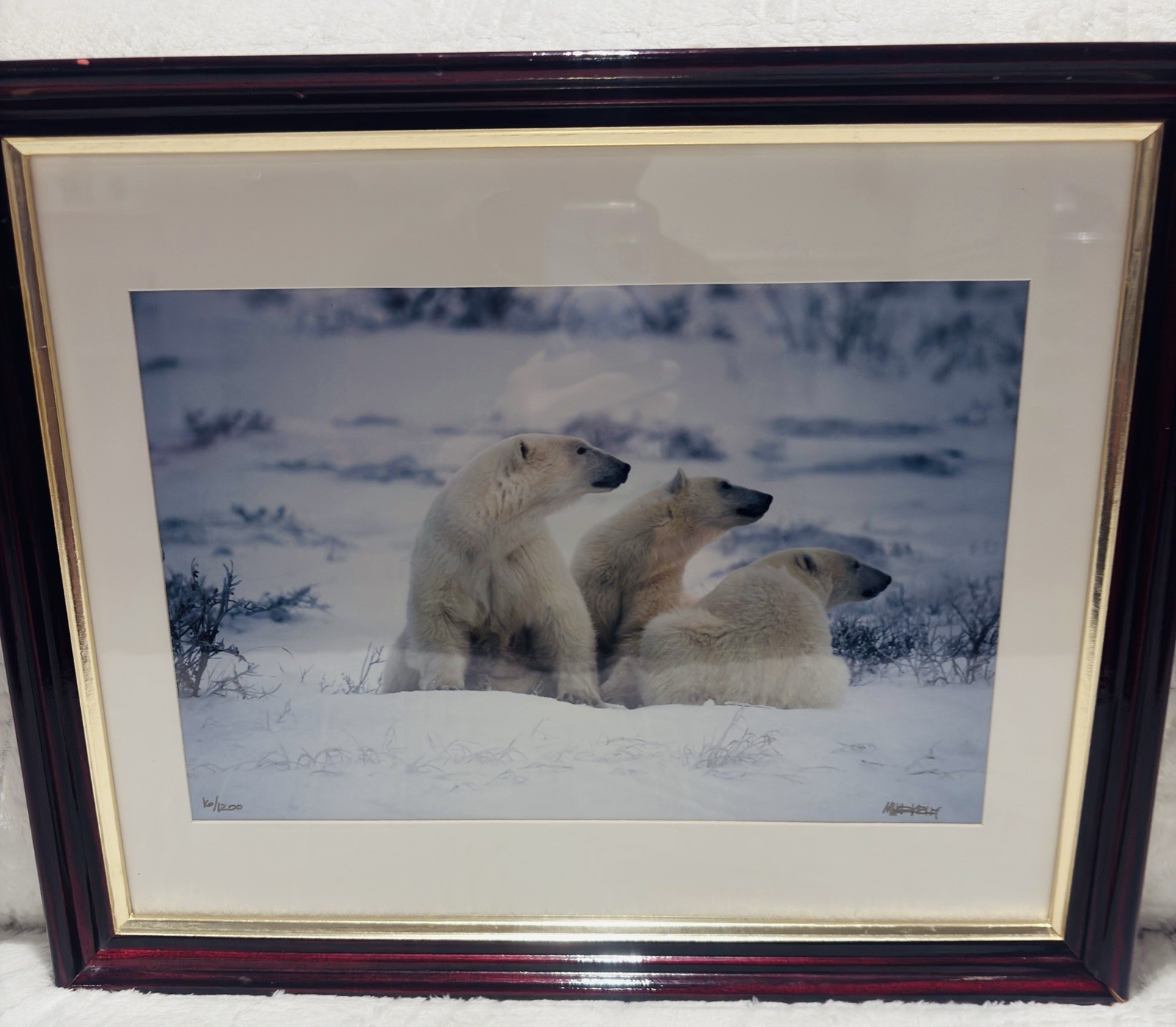 Mike Kelly Framed Limited Edition Photograph Polar Bears in Snow Signed 16/1200