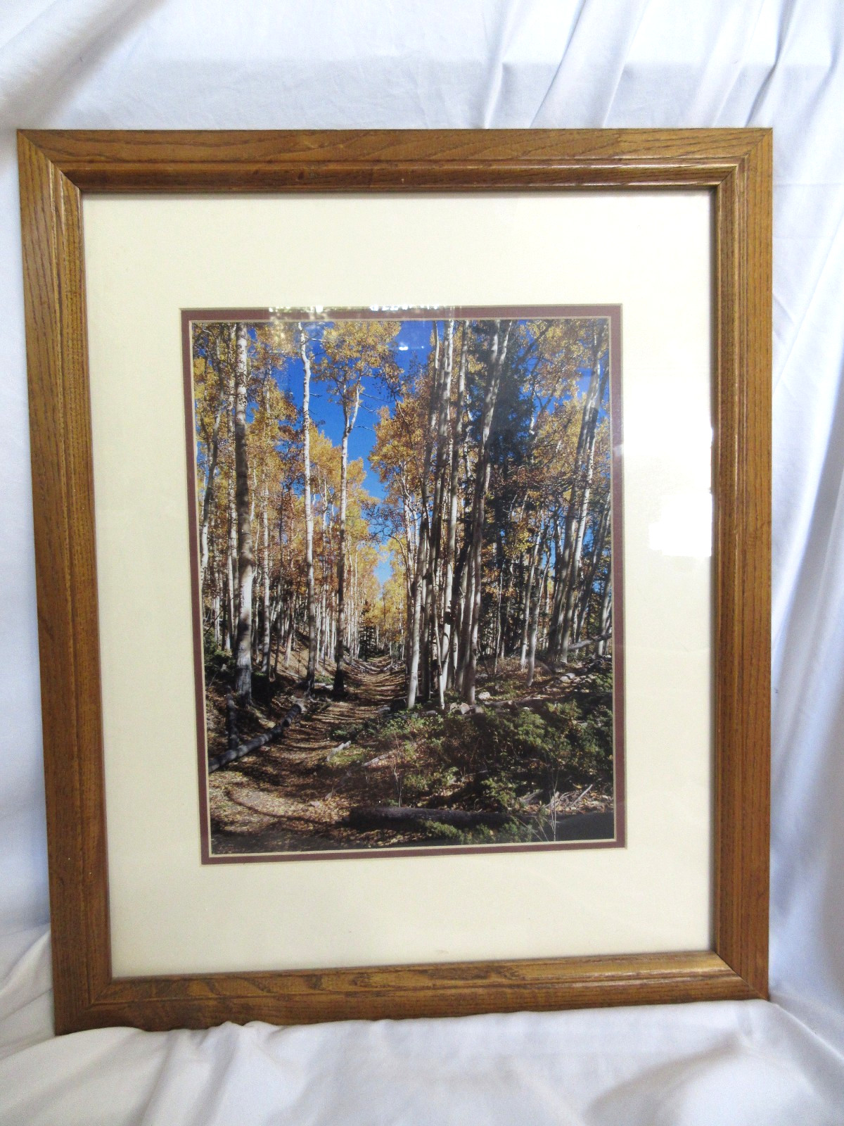 Framed Landscape Photography Aspen Trees Autumn Forest Path Rustic Wall Art