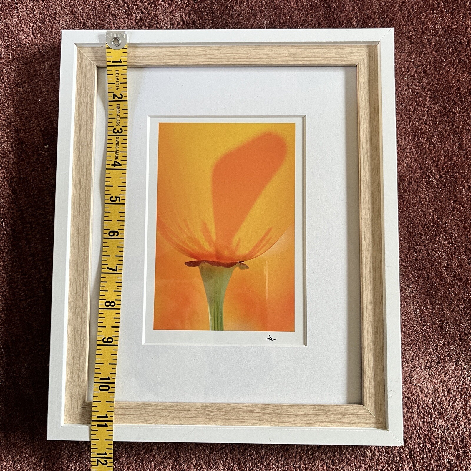 California Poppy Flower Art Photograph Signed & Framed