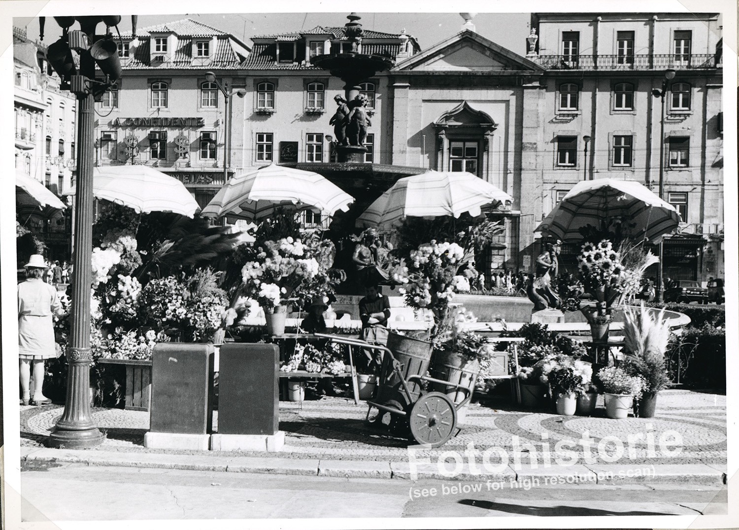 Photo Lisbon Flower Market Street Sale Portugal 1960s Market Scene