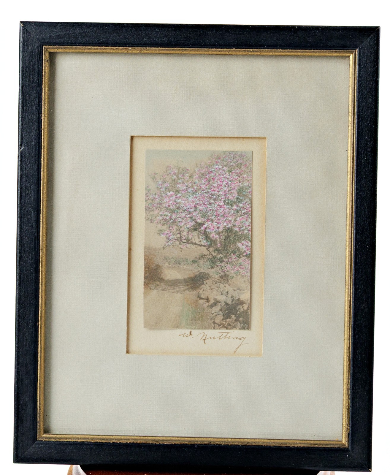 Antique Wallace Nutting Signed Print Hand Colored Photo New England Landscape