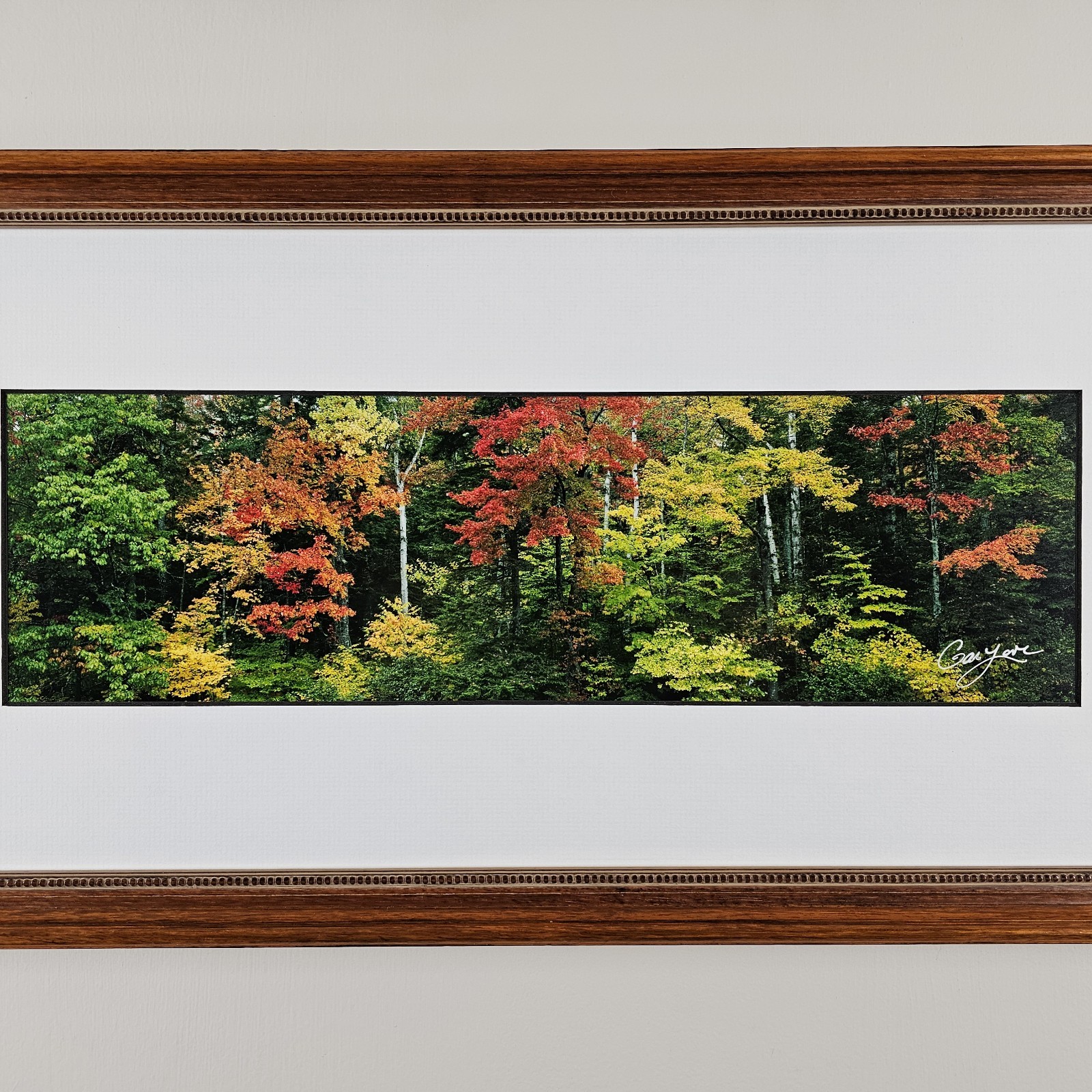 ART – Signed Gary Love Photograph 21.75×11.75 Framed Landscape Art – Maine Trees