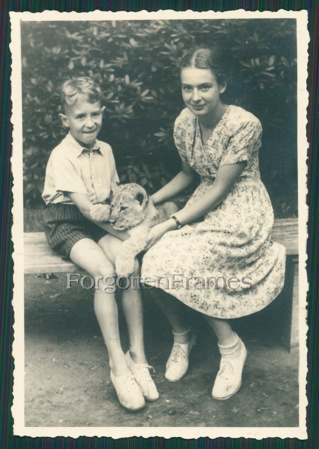Photo braids girl with lion baby zoo Berlin cute pigtail girl Lion cub photo