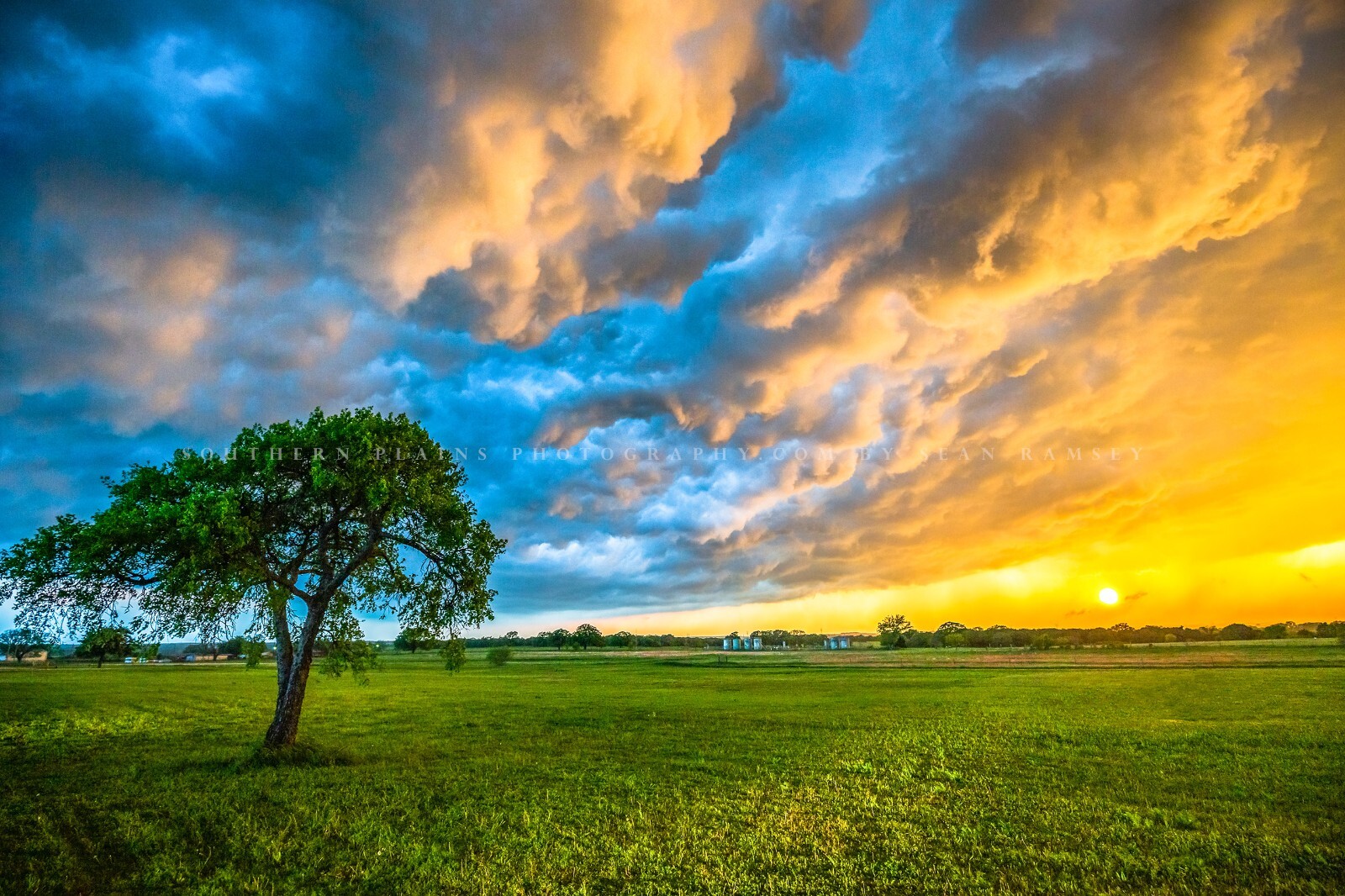 Storm Clouds Photography Print: Texas Sunset Sky Landscape Tree Weather Photo