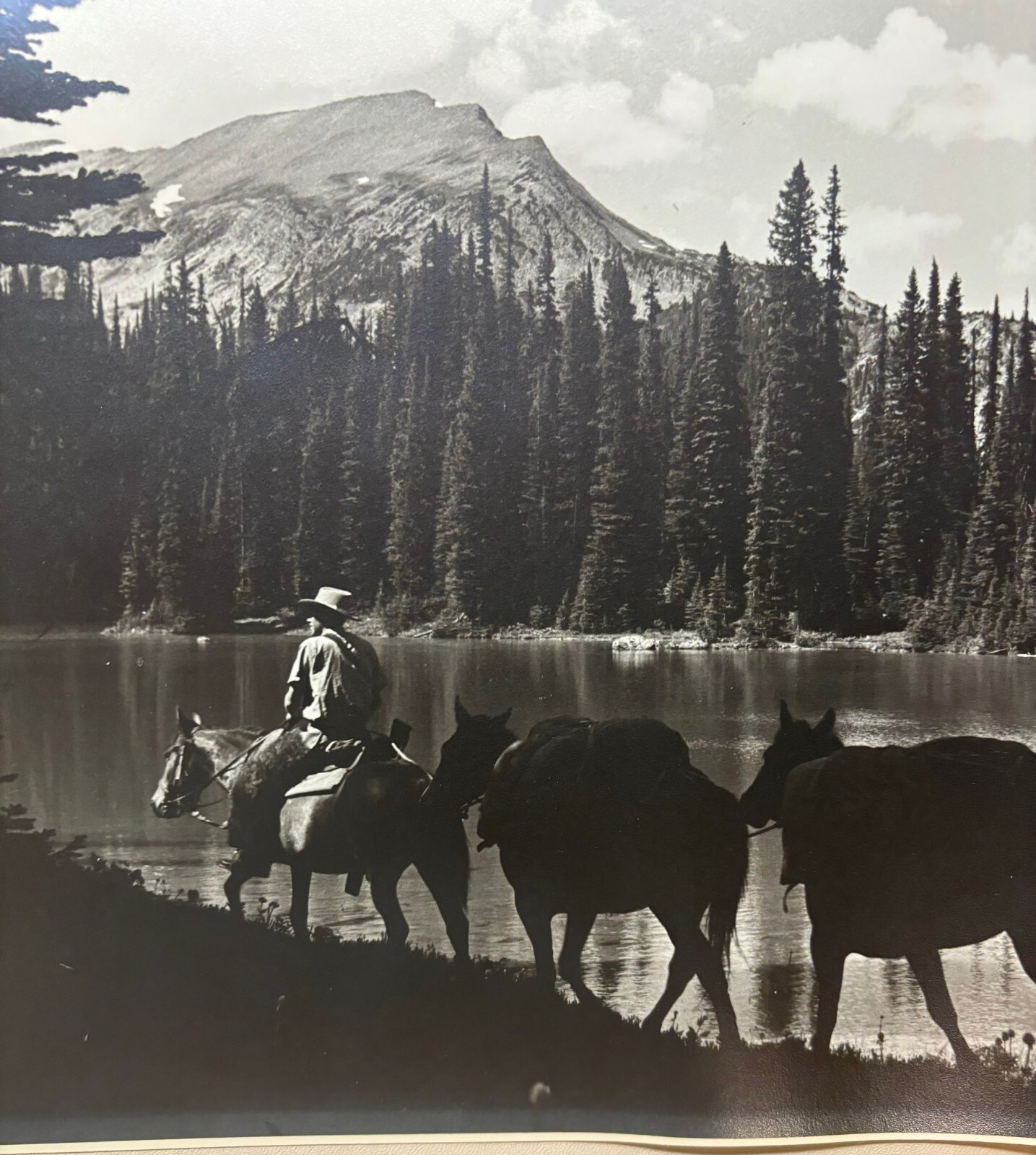 Original HARRY ROWED ‘Morning in the Valley’ Horseback in CANADA Mountains PHOTO