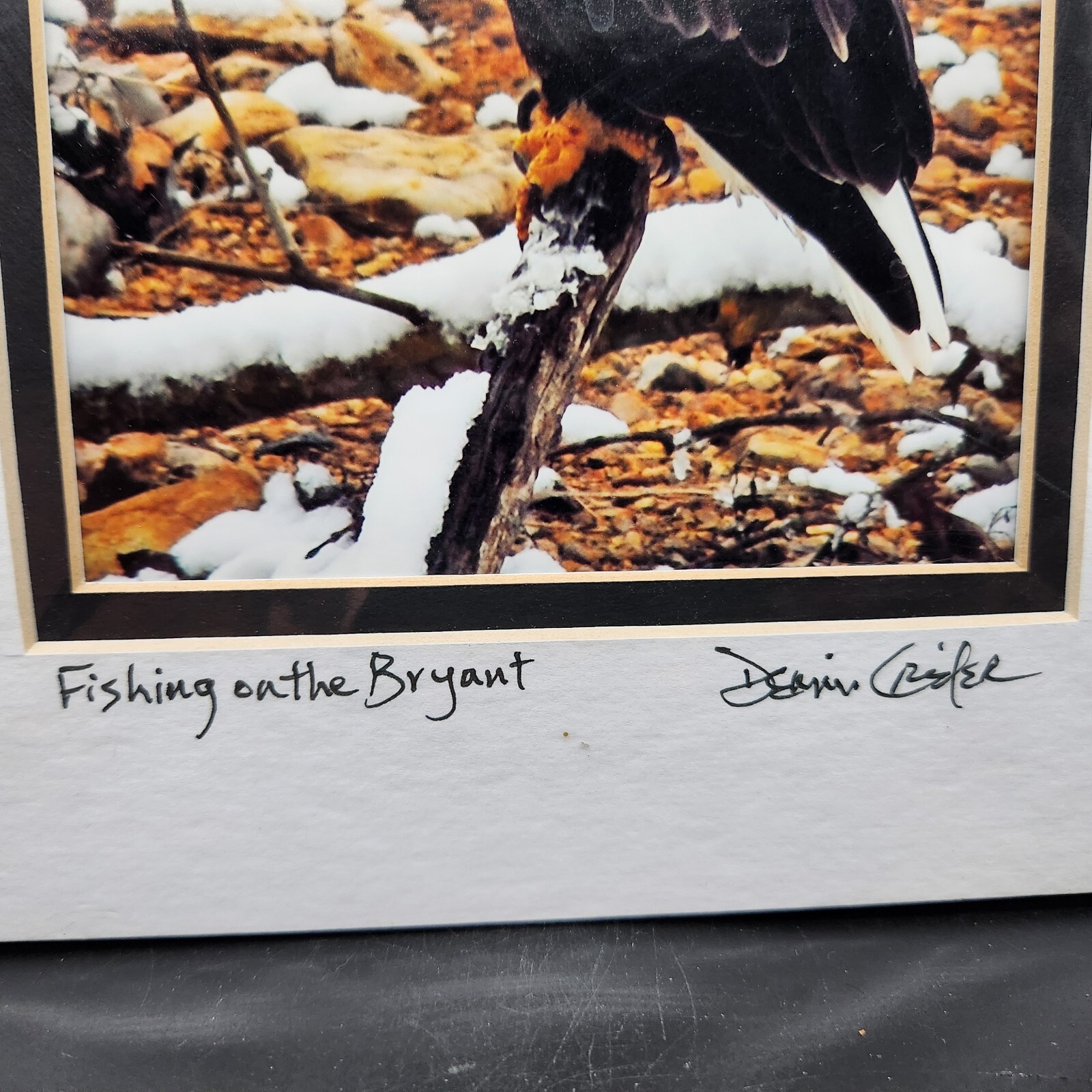 Bald Eagle Print Photo With Double Matte Signed Dennis Crider
