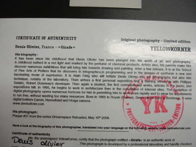 Yellow Komer Certify Photograph Glrafe Limited Edition 20×20 cm #738 Beautiful