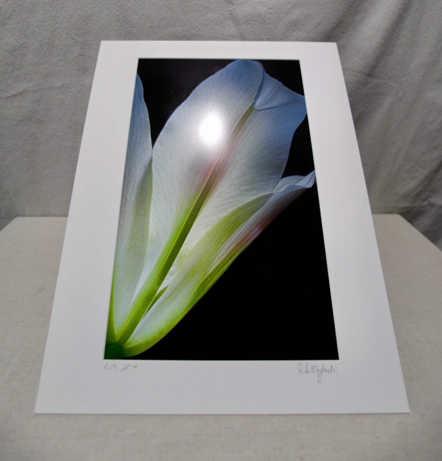 Original Photography Art Print “Calla”