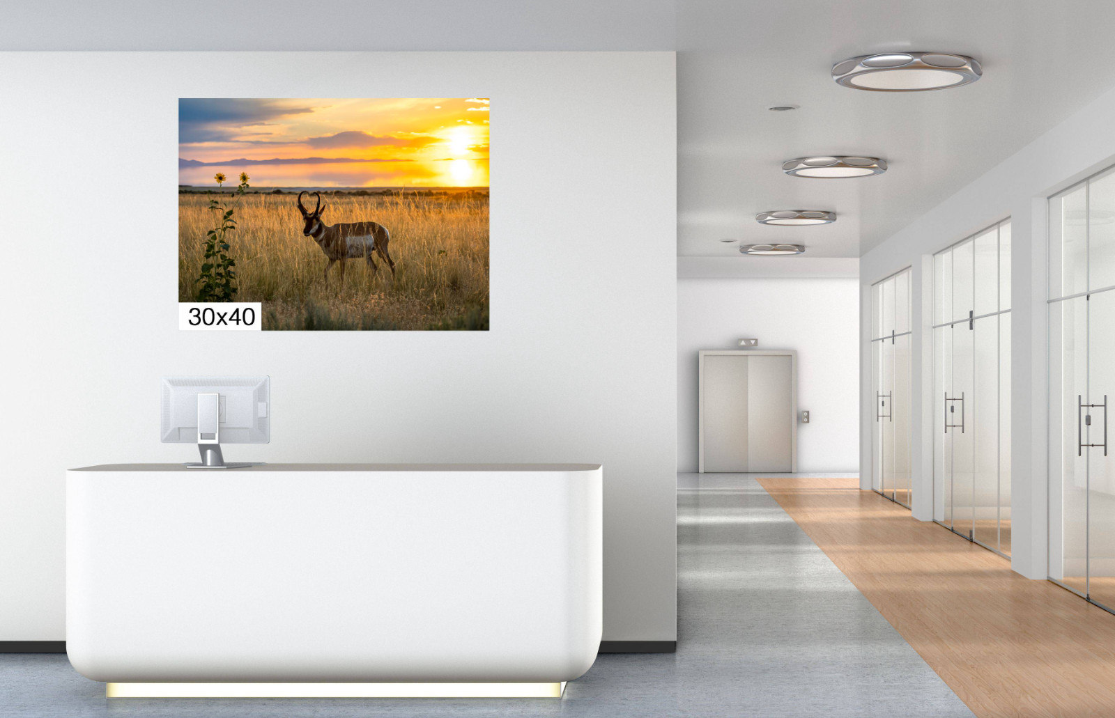 Antelope Island Pronghorn: Utah Sunset Wildlife Photography Wall Art